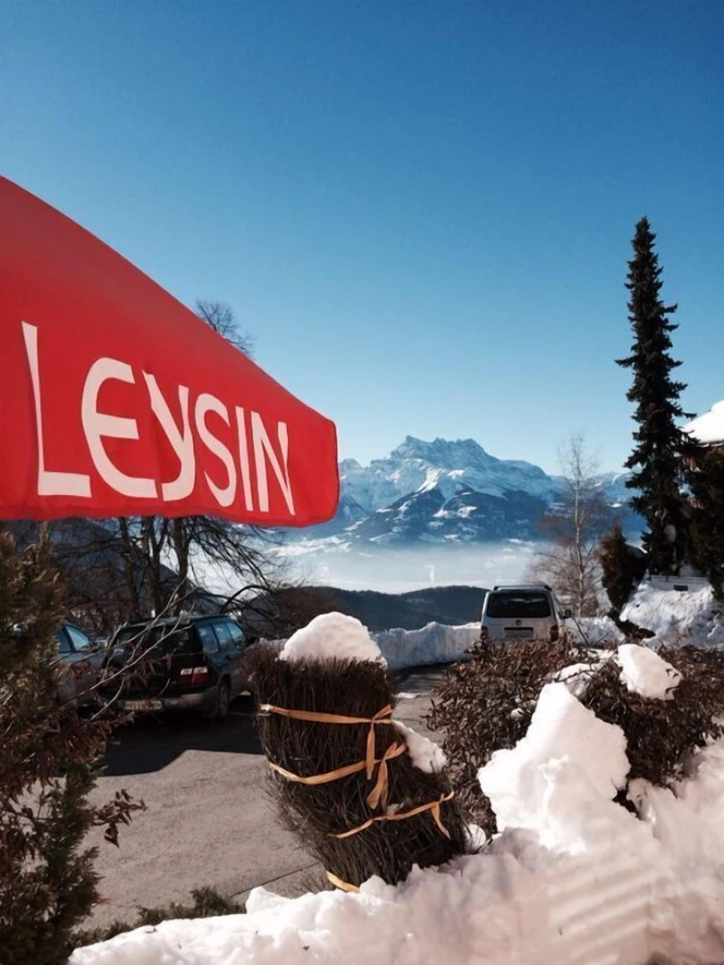 Castel Club Leysin Parc Resort