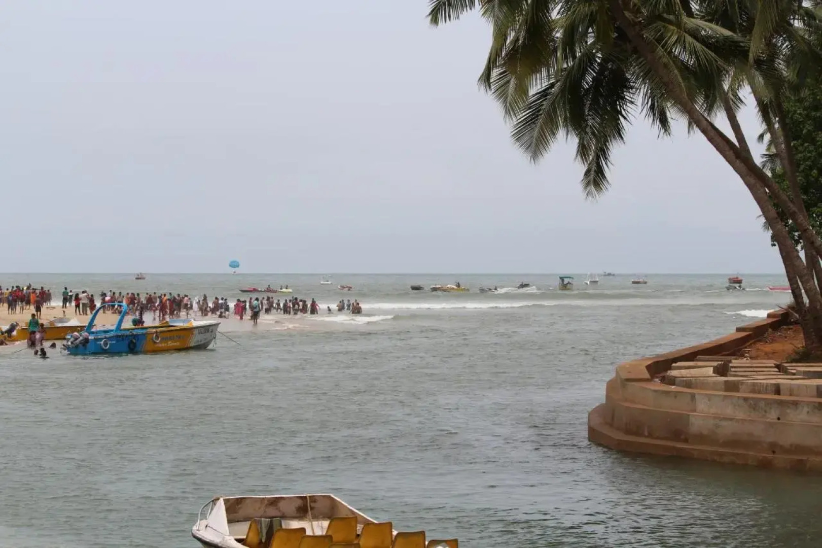 Macedo Palms Lemonmint