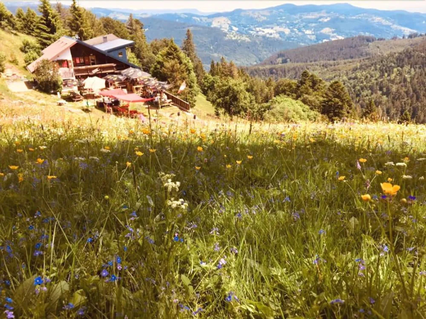 Le Schallern - Chambres & Table d'hotes