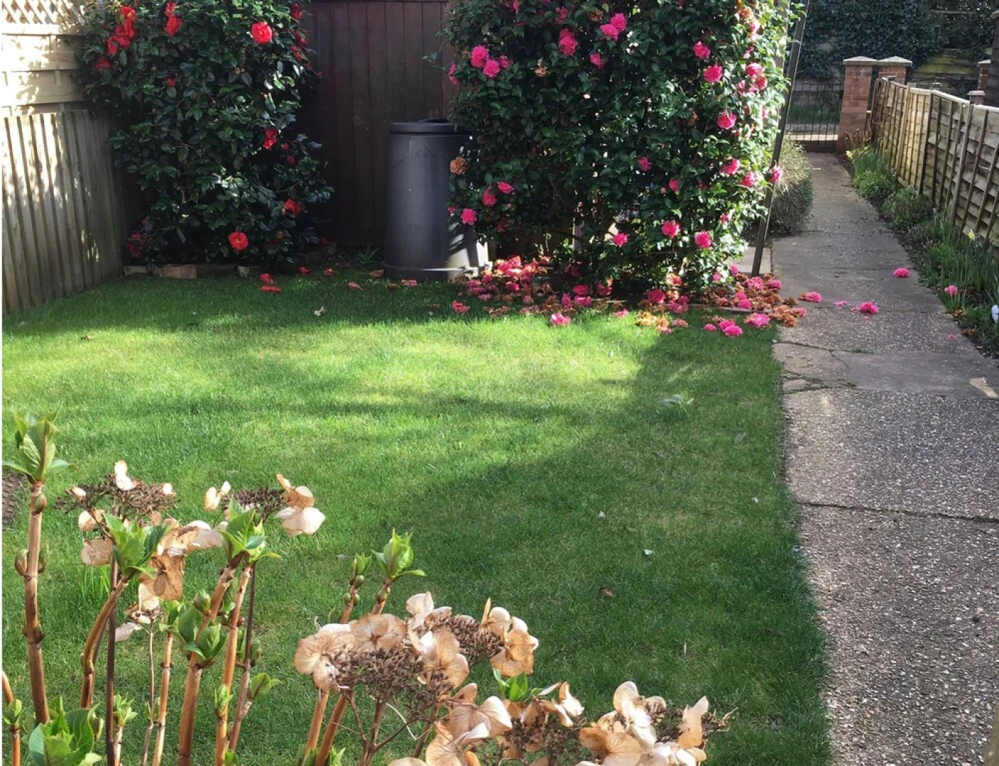 Poppy & Will's.....quiet, Cosy Cottage