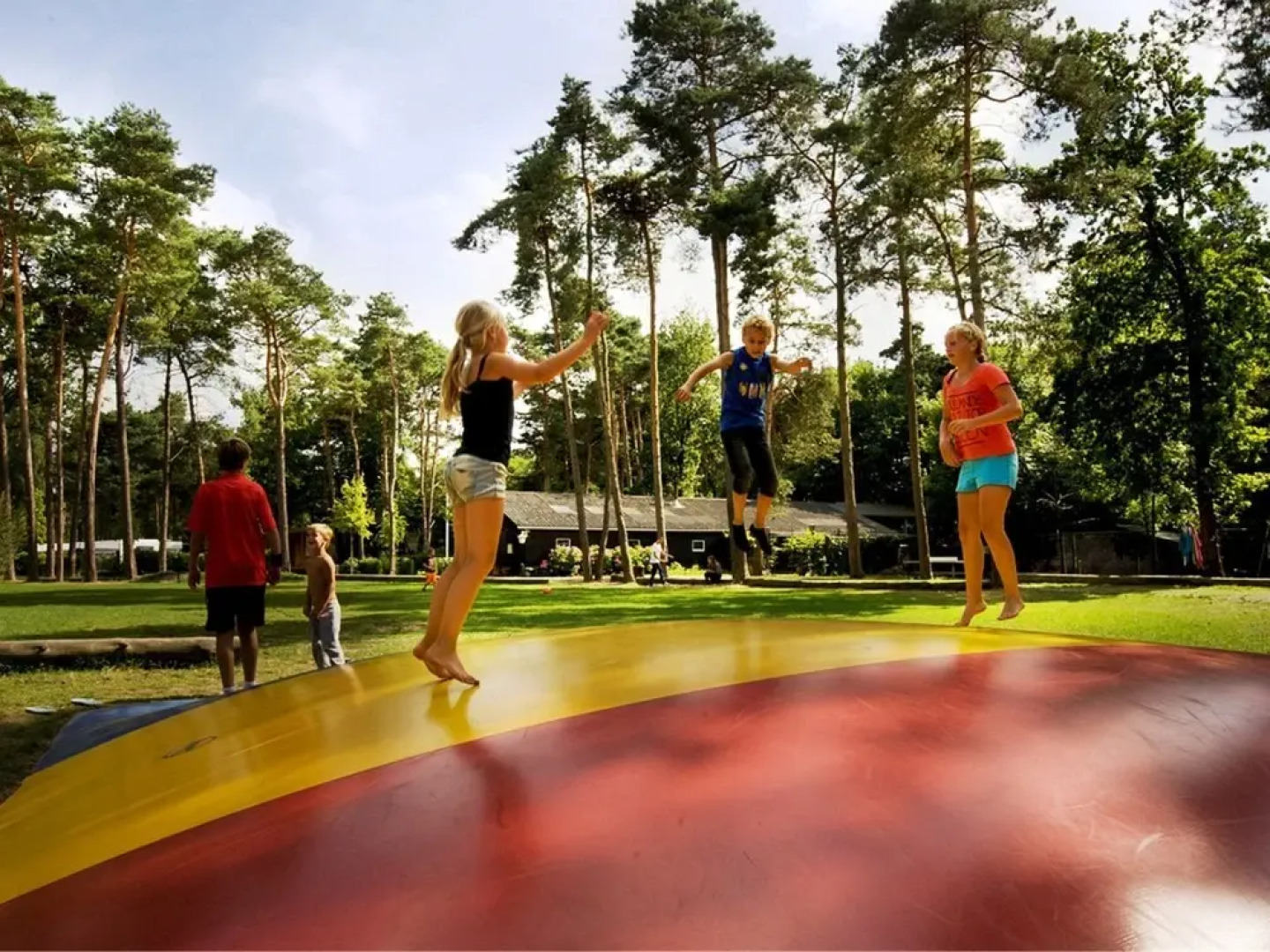Likeable Chalet with Terrace near Oisterwijkse Vennen