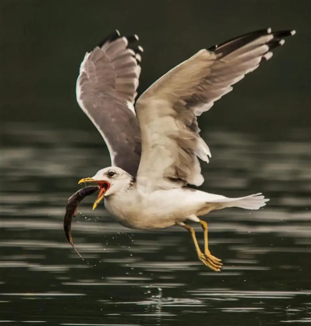Hotel Altes Zollhaus