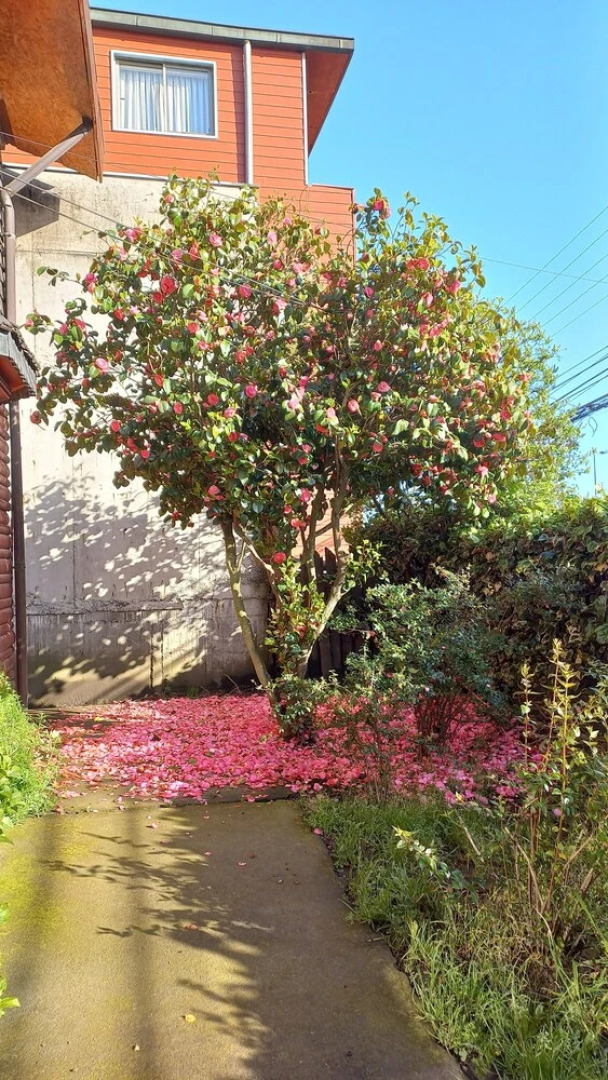 Hostal Cuatro Estaciones  - Hostel