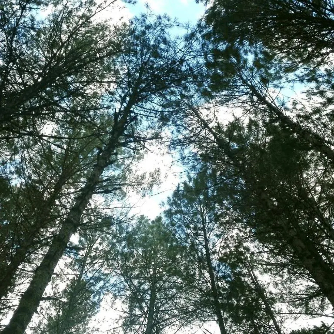 Apartamentos Cruz Mar