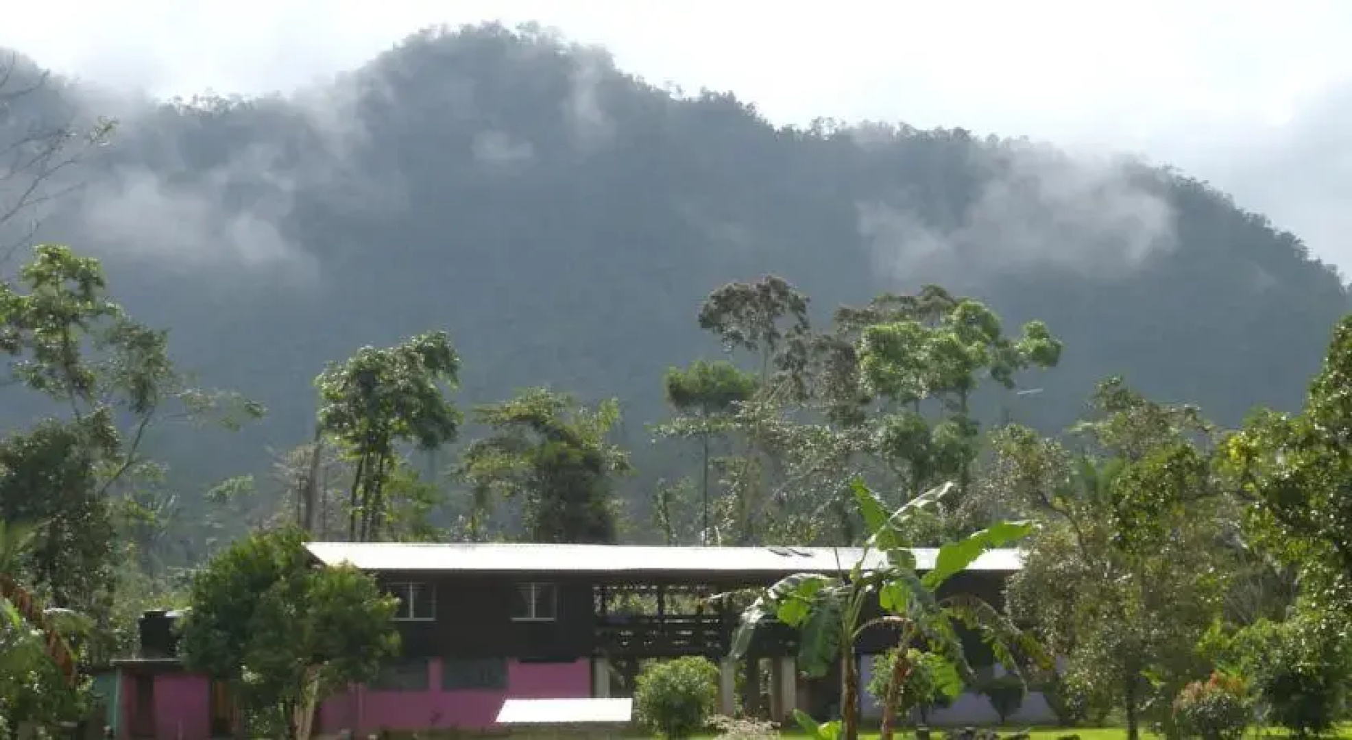Hummingbird Guest Lodge & Hostel