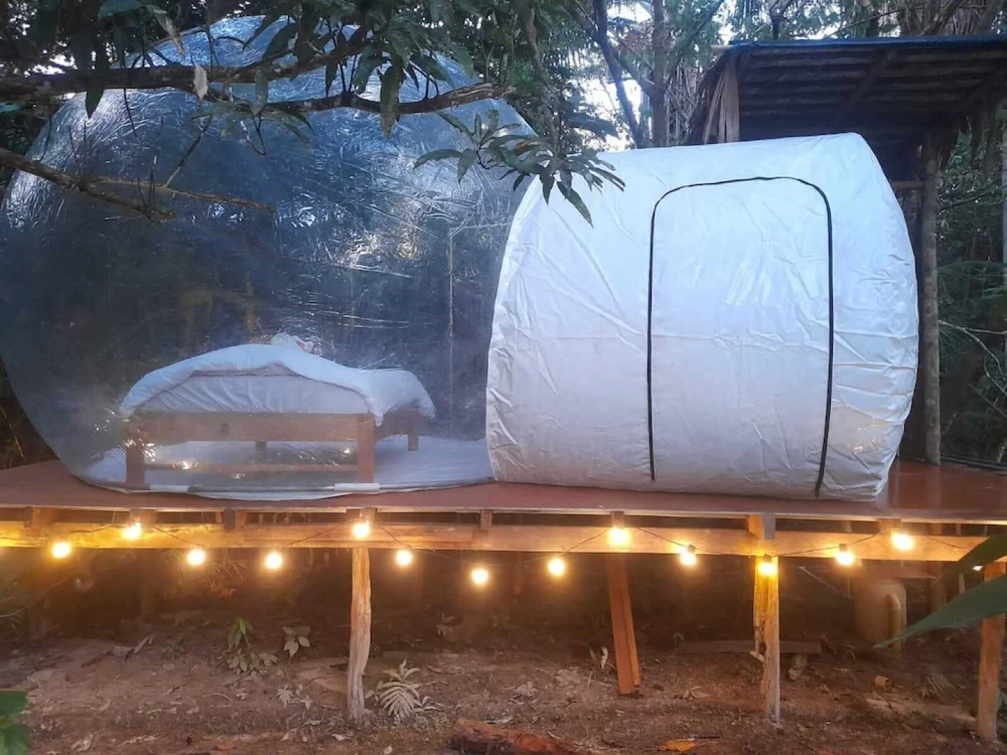 Glamping amazonas
