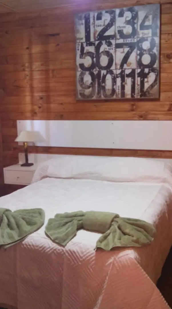 Verde y Sol en la Colonia