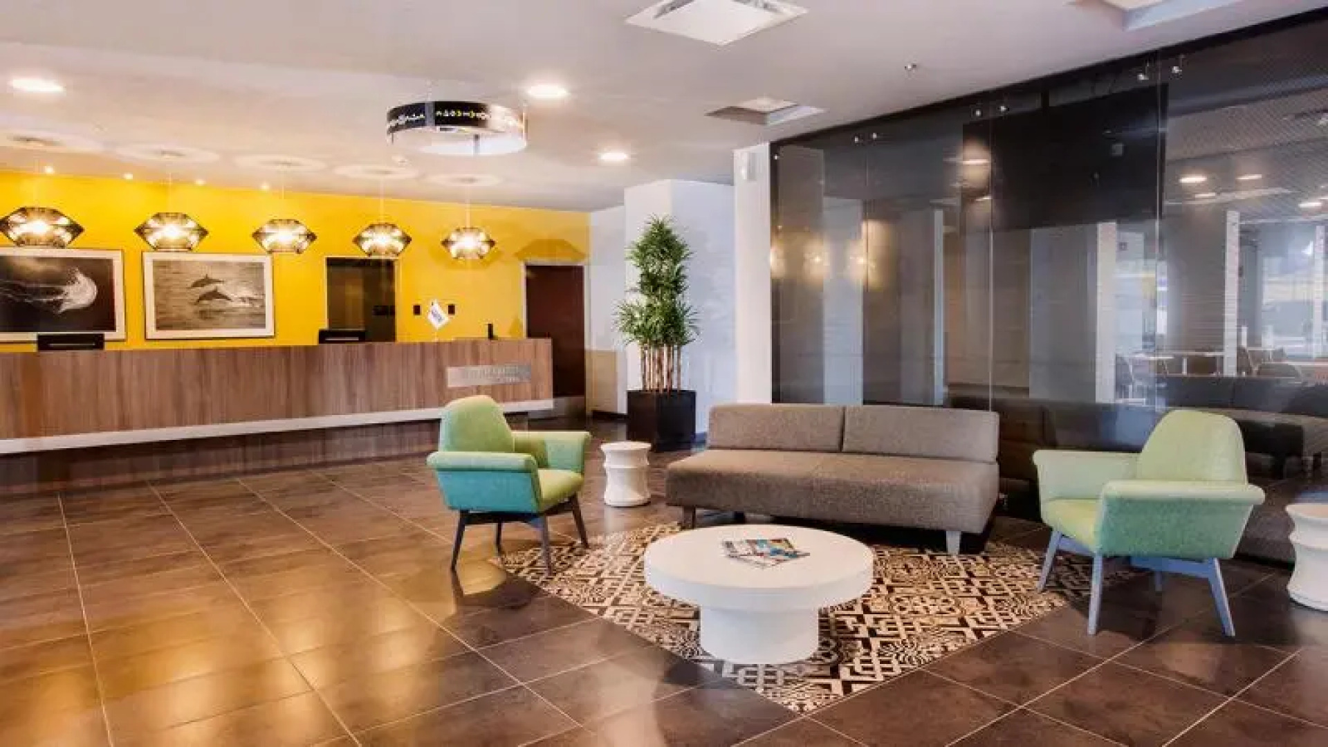 City Express Suites Cabo San Lucas