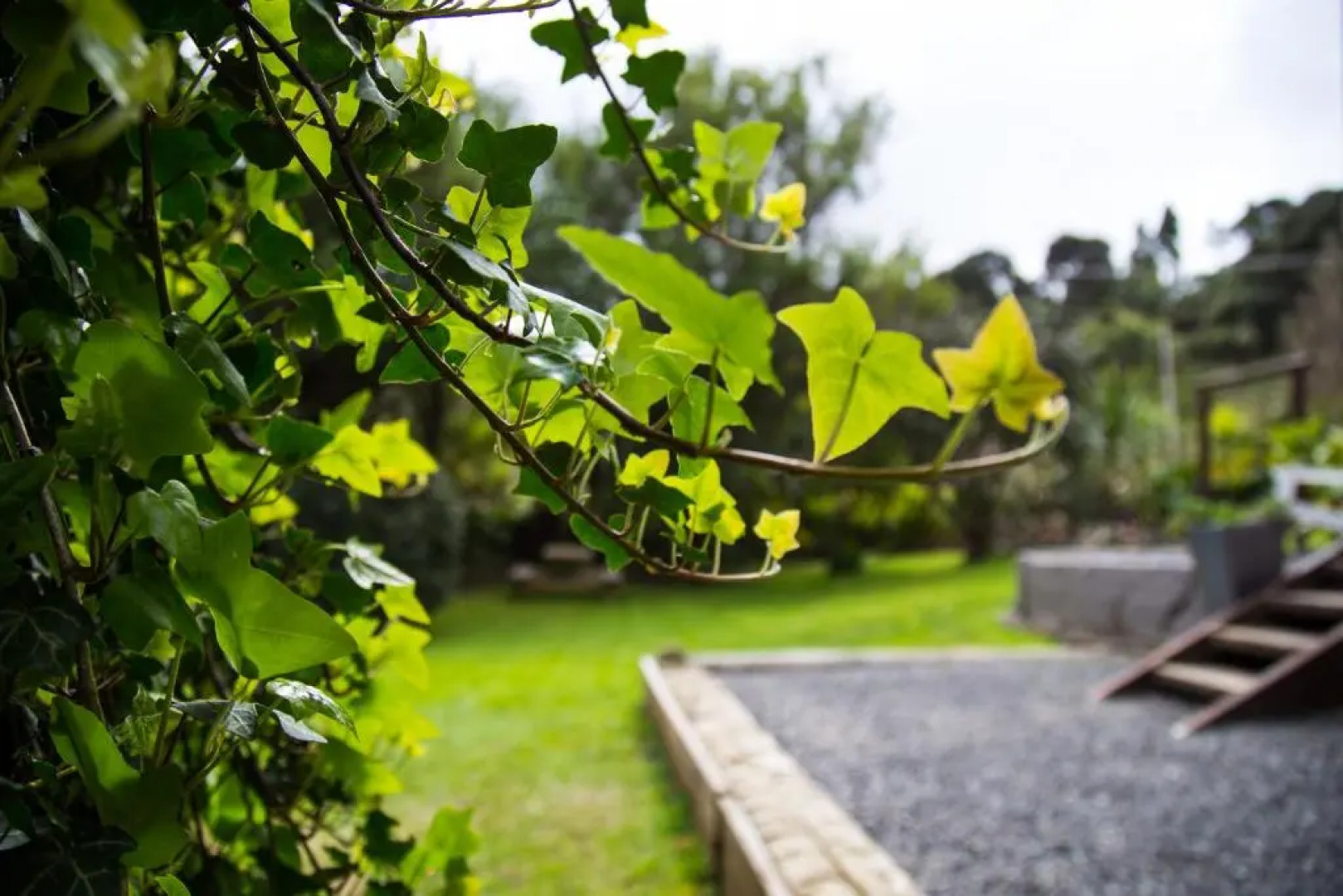 Hush Boutique Accommodation