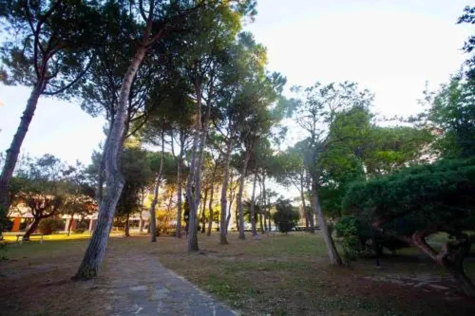 M215 - Marcelli, nuovo bilocale in residence con piscina