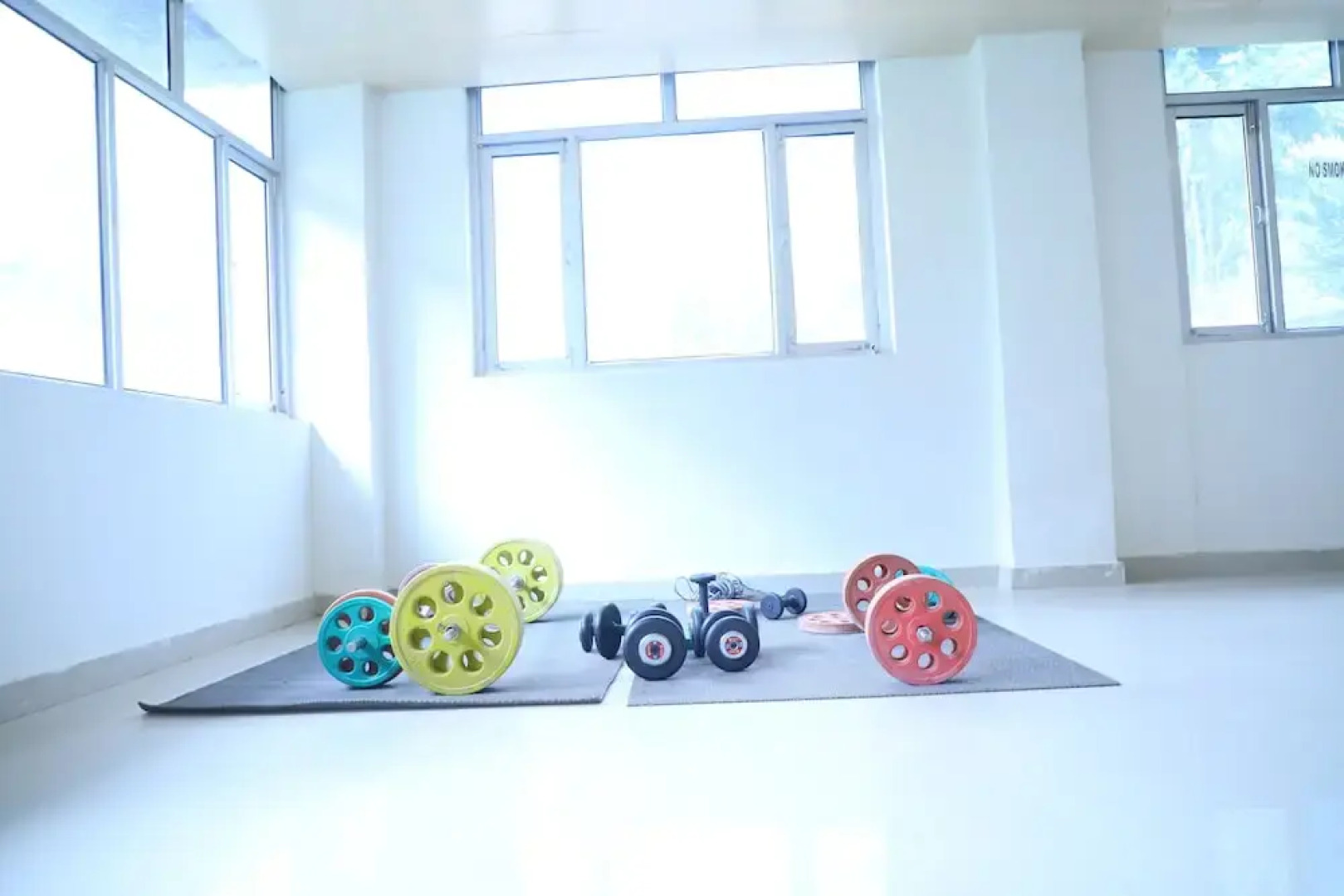 OYO 8367 Hotel The Woodz