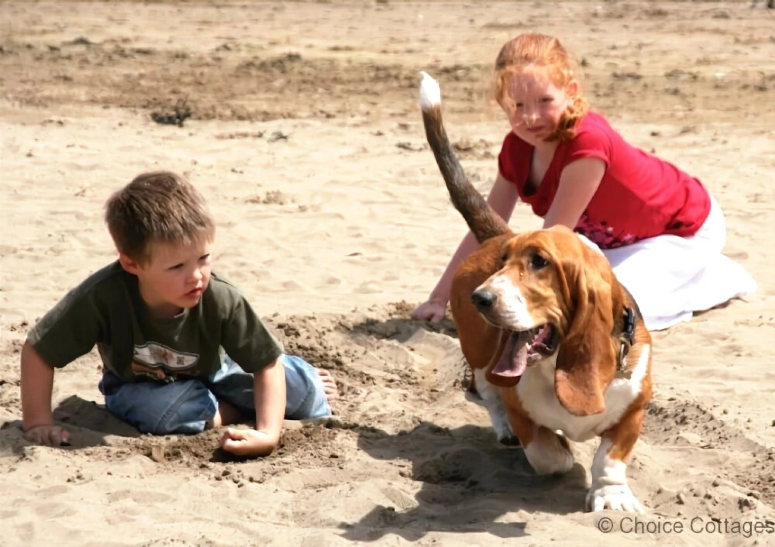 Braunton Burland House 5 Bedrooms