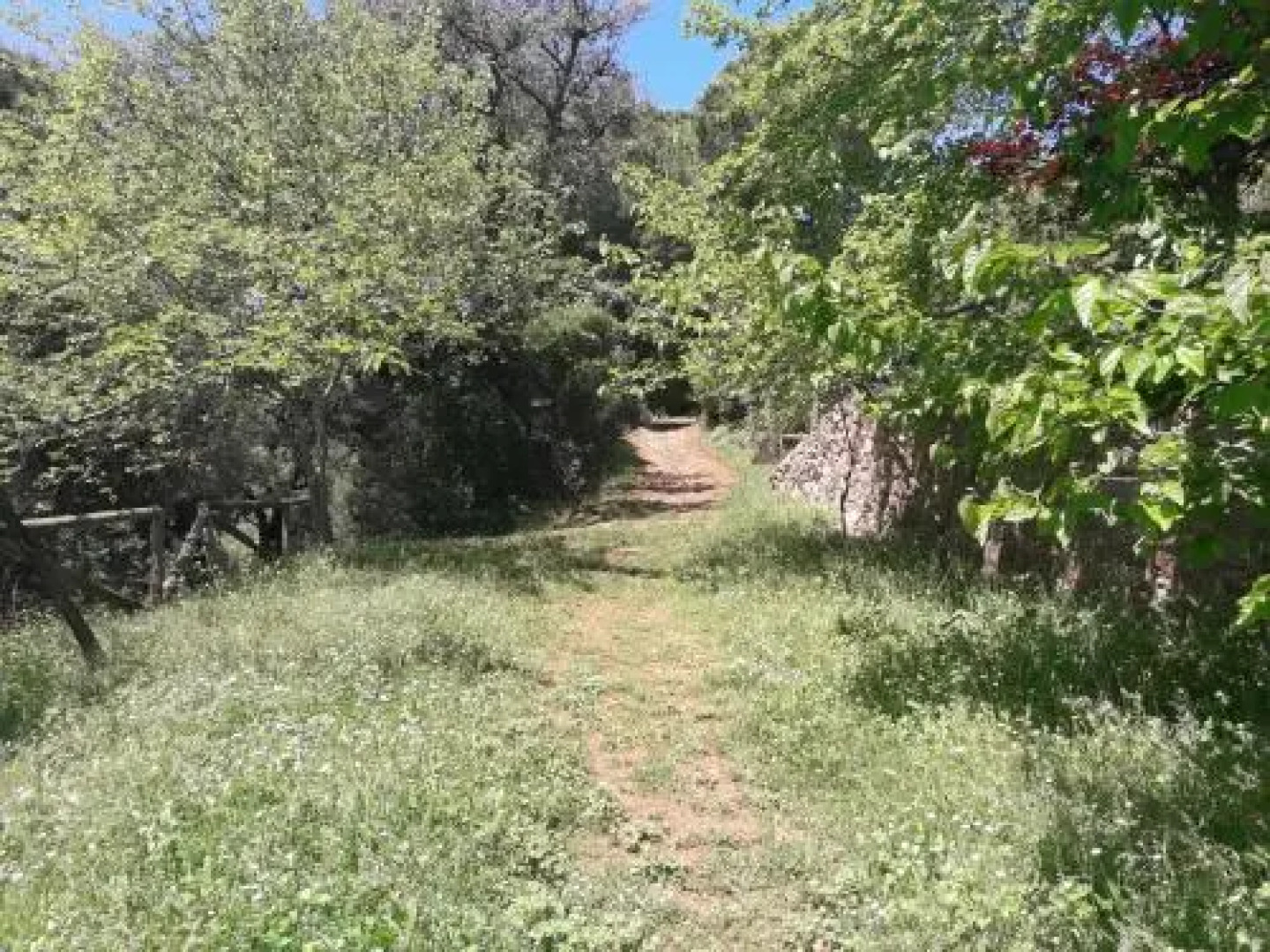 Casa de La Abuela Pepi