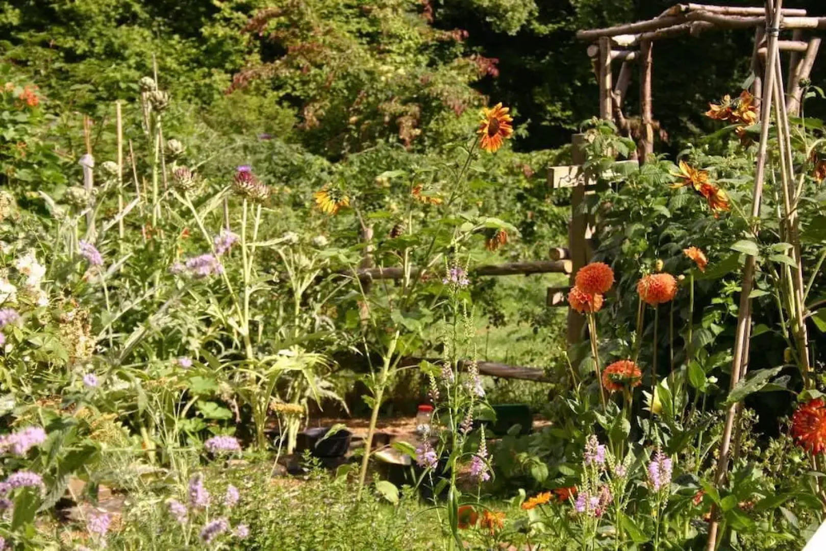 Thimbles Bed & Breakfast