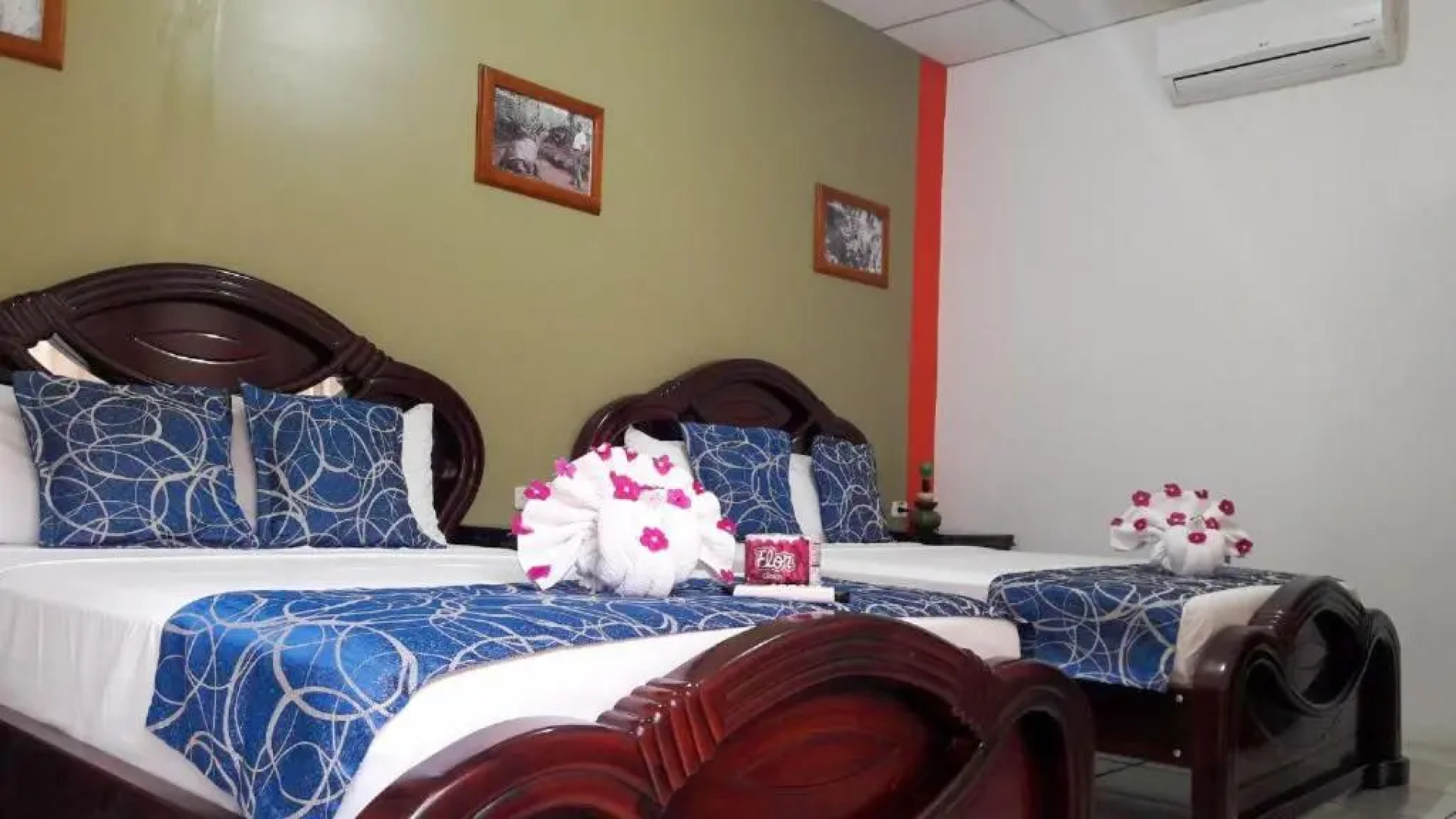 La Mirada De Solitario George