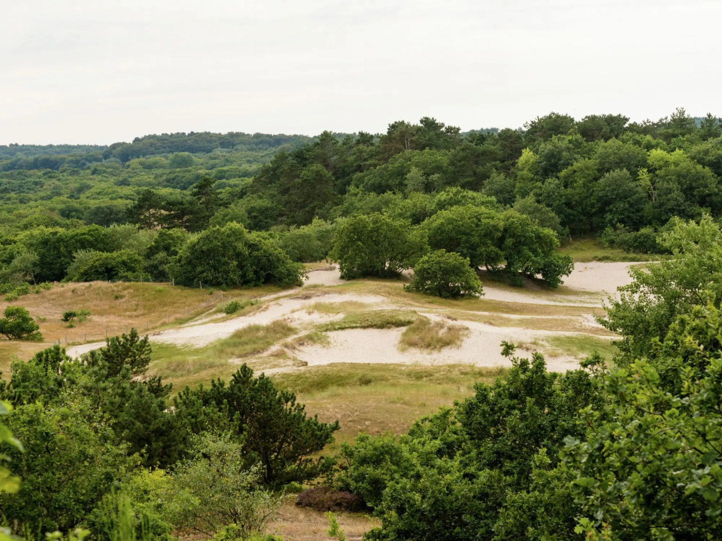 Holiday Home in Bergen Near Bergerbos Forest