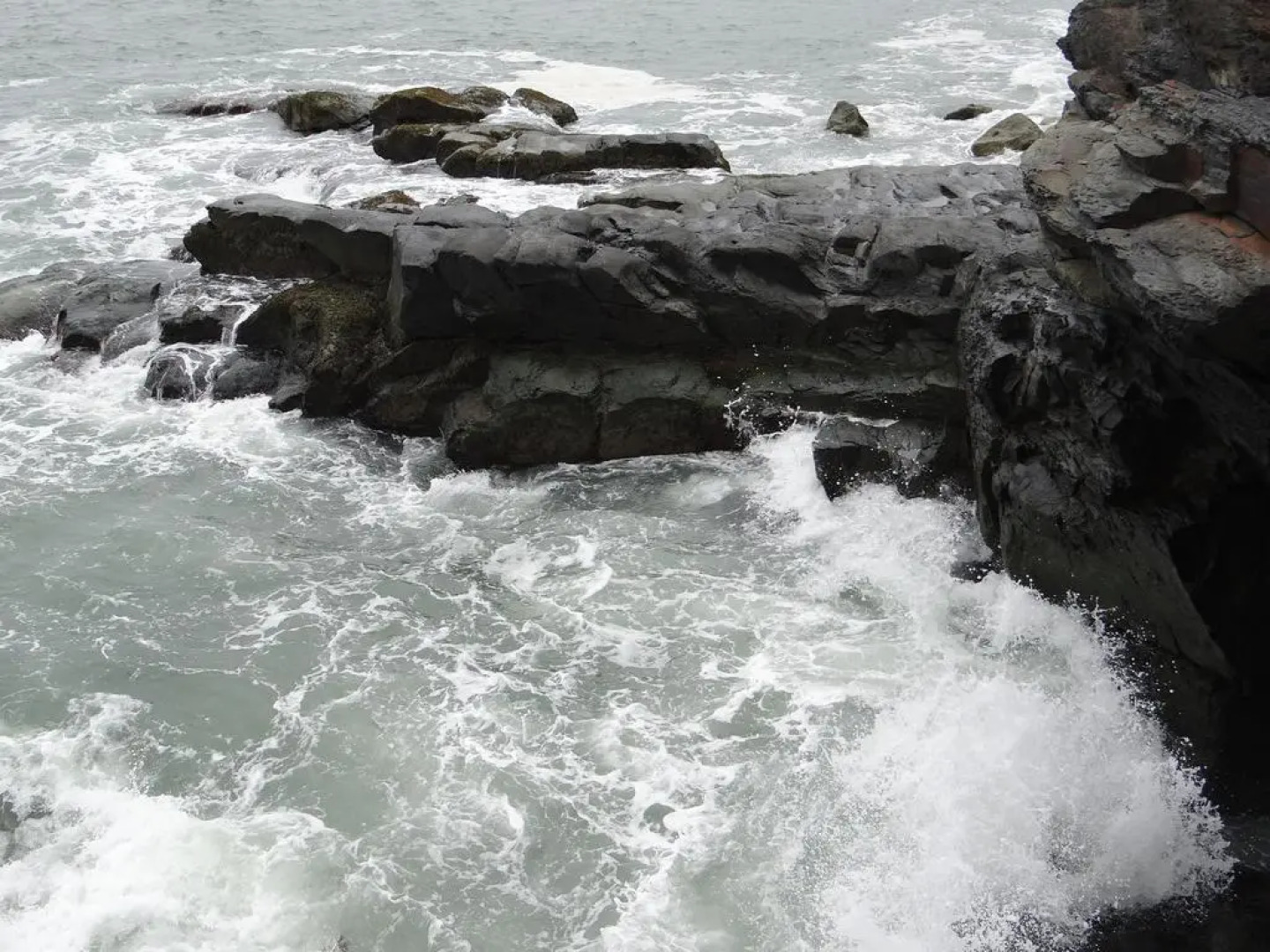 Rhea's Inn By The Sea