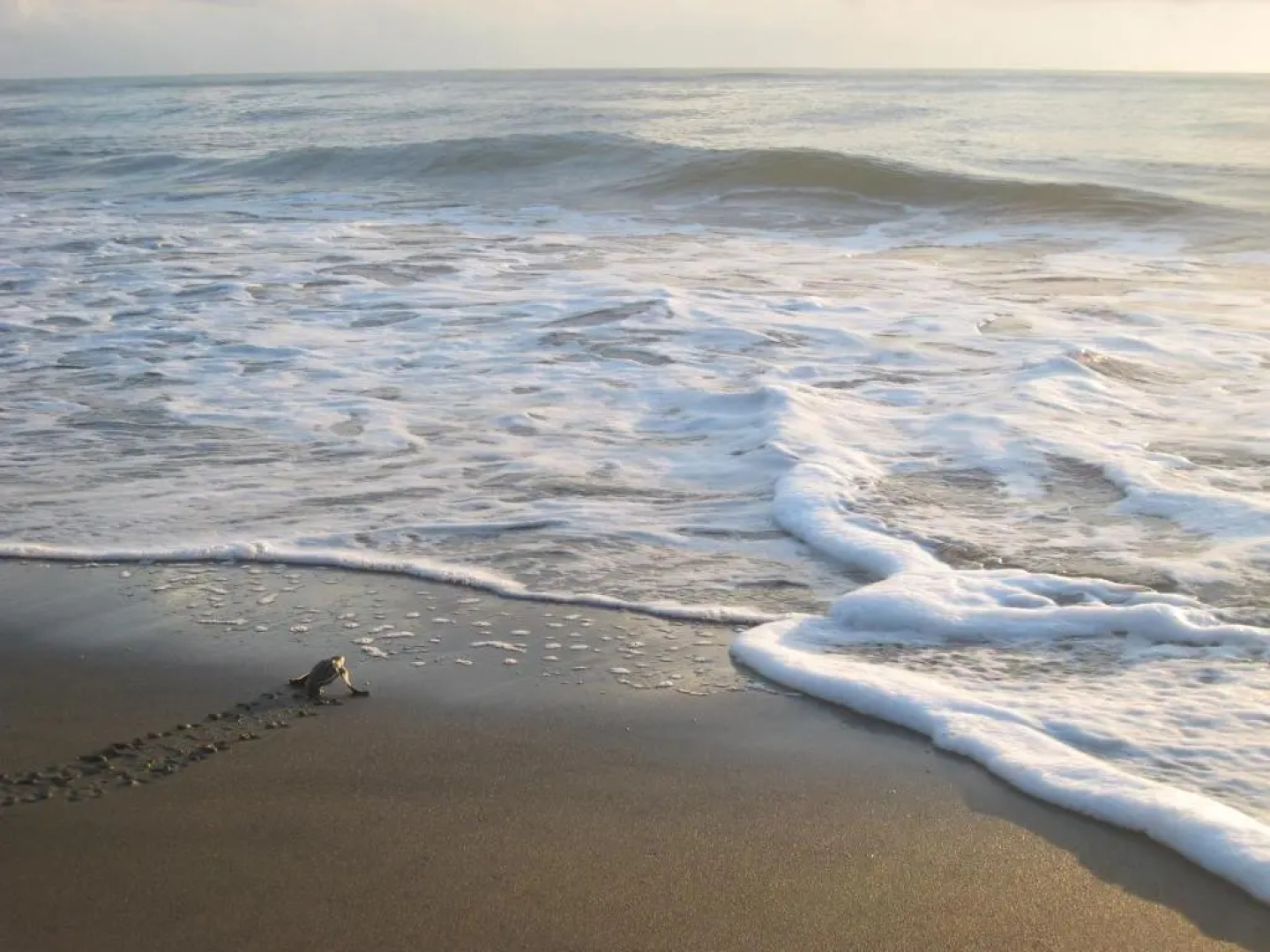 Casa Grande at Pacuare Reserve