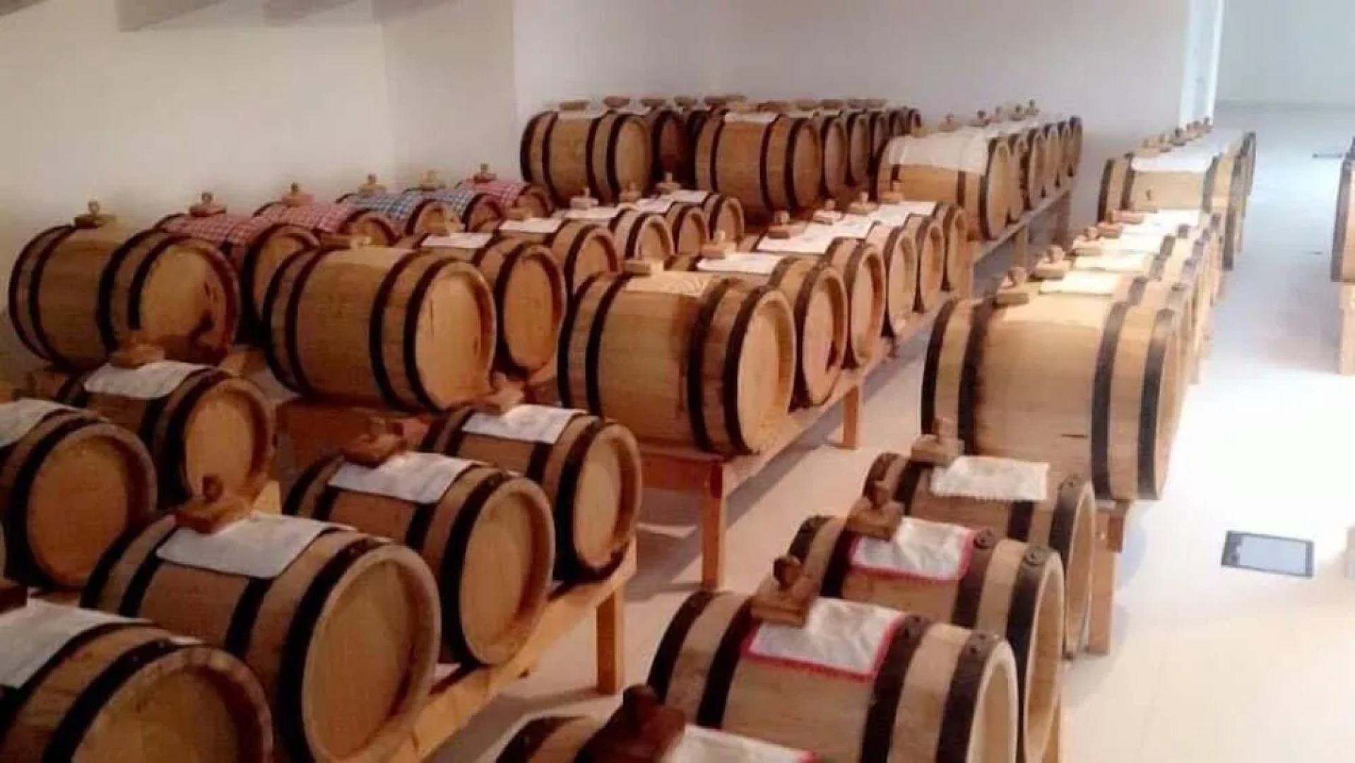 Pianderna Agriwellness