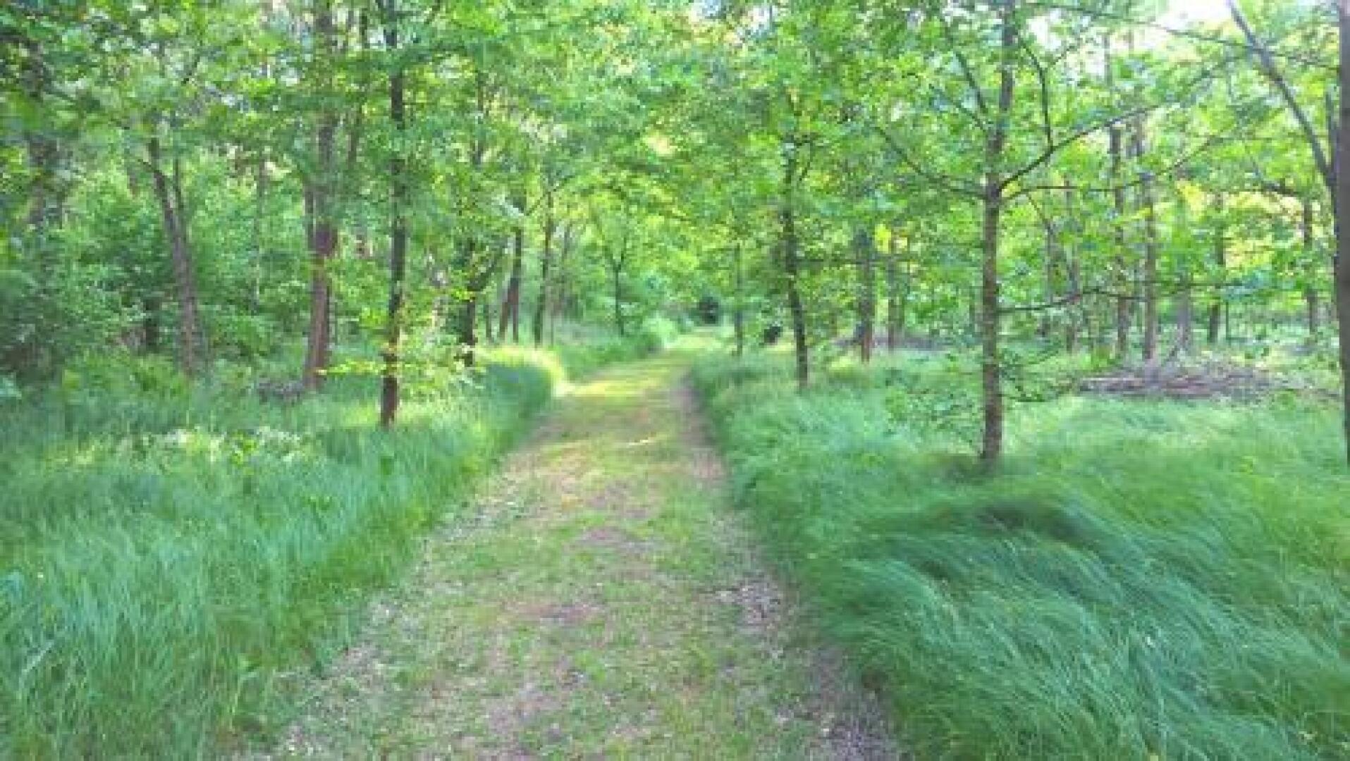 Agriturismo La Forestina