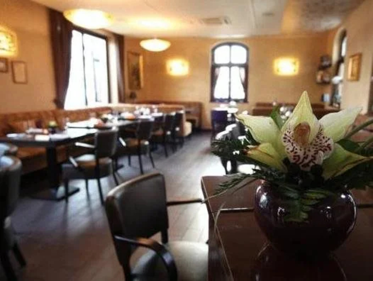 Platan Vararok Vendeghaz