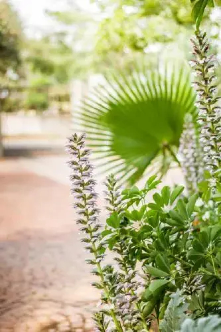 @The Villa Guest House