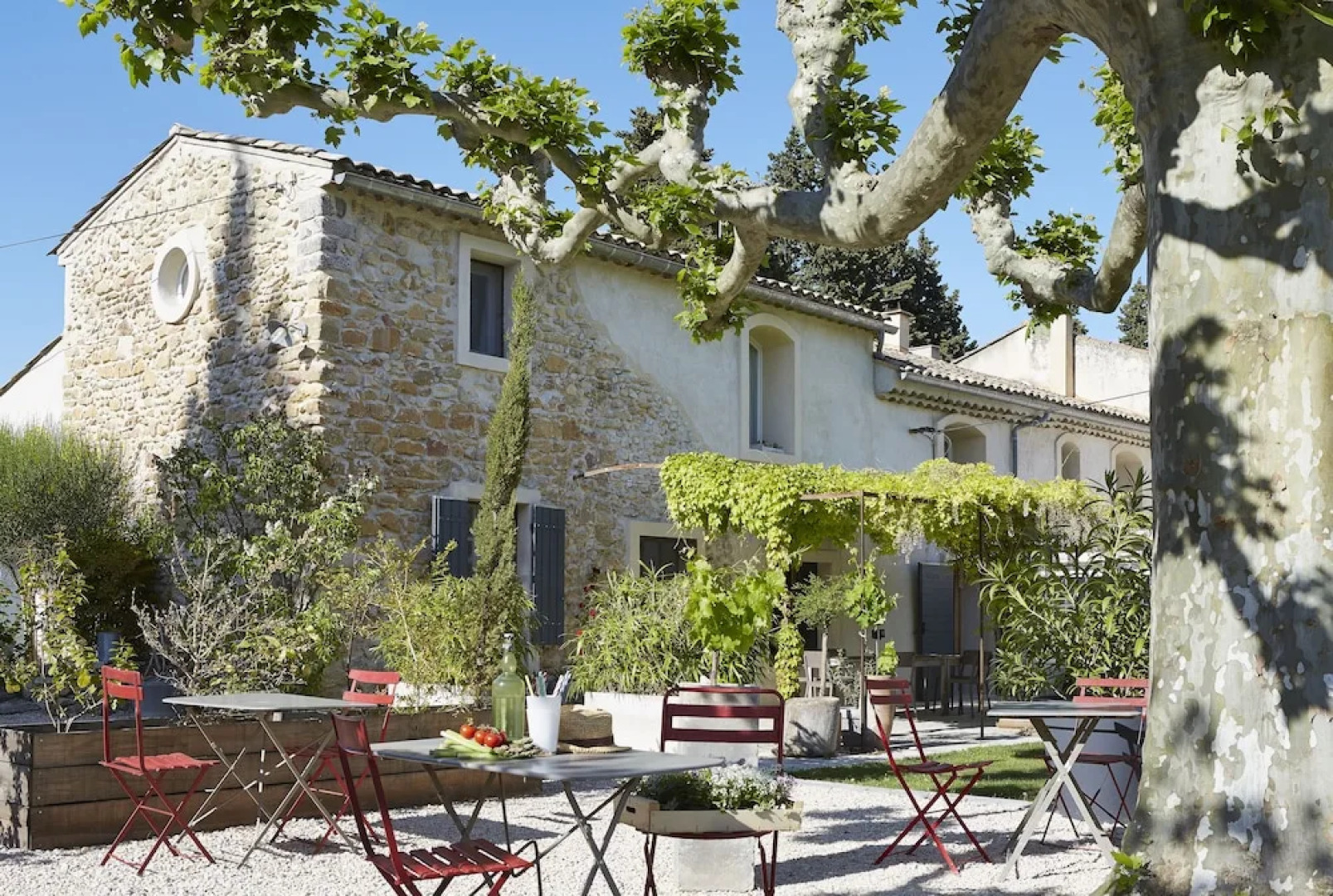 Au coin des figuiers