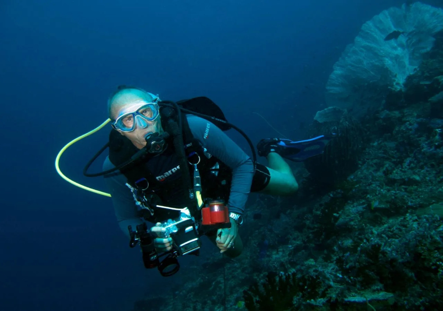 Blue Ribbon Dive Resort