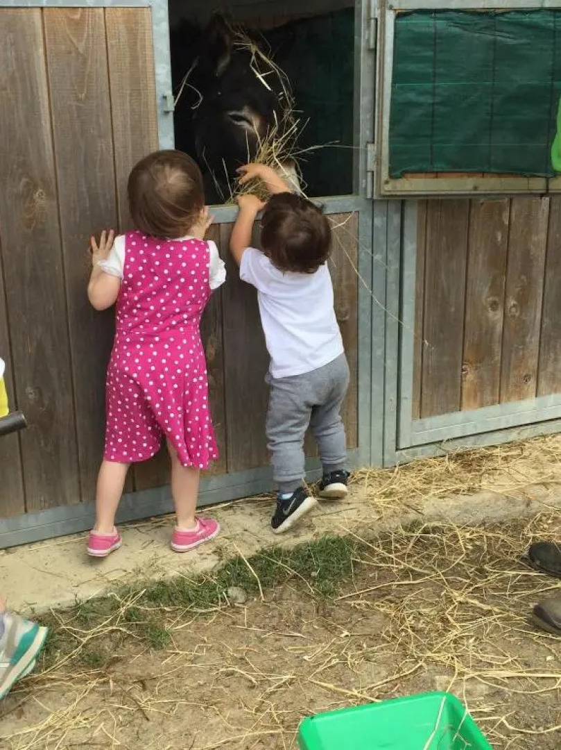 La Fattoria di Valentina