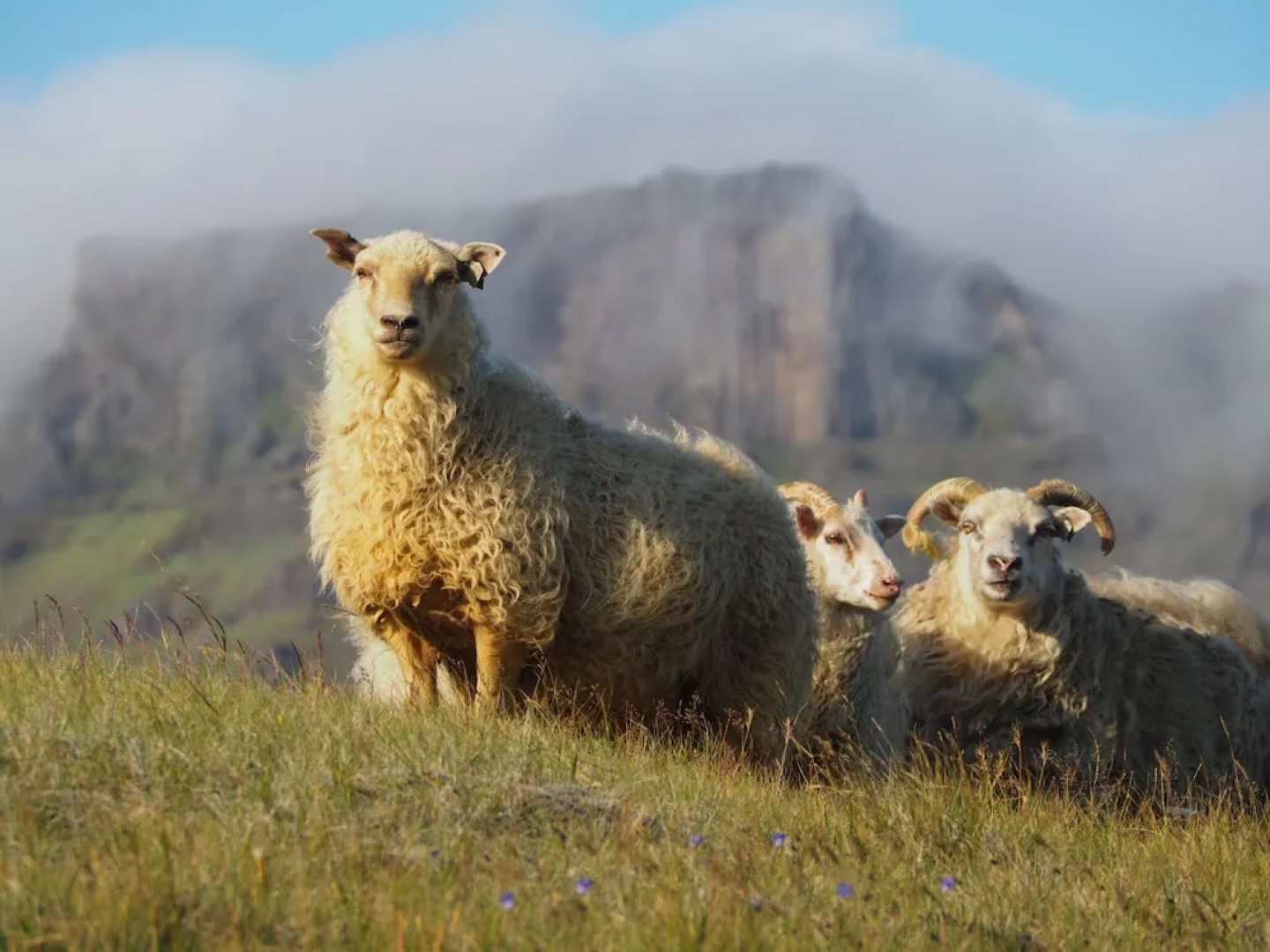 Vagnsstadir HI Hostel