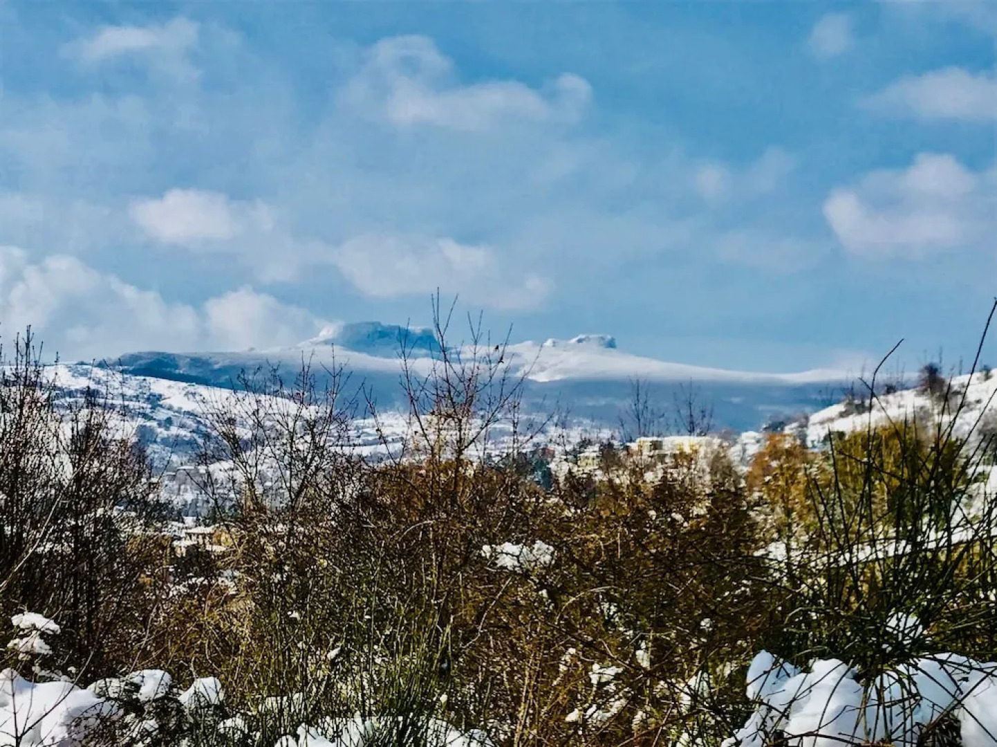 Residence Le Terrazze Apartment Leccio