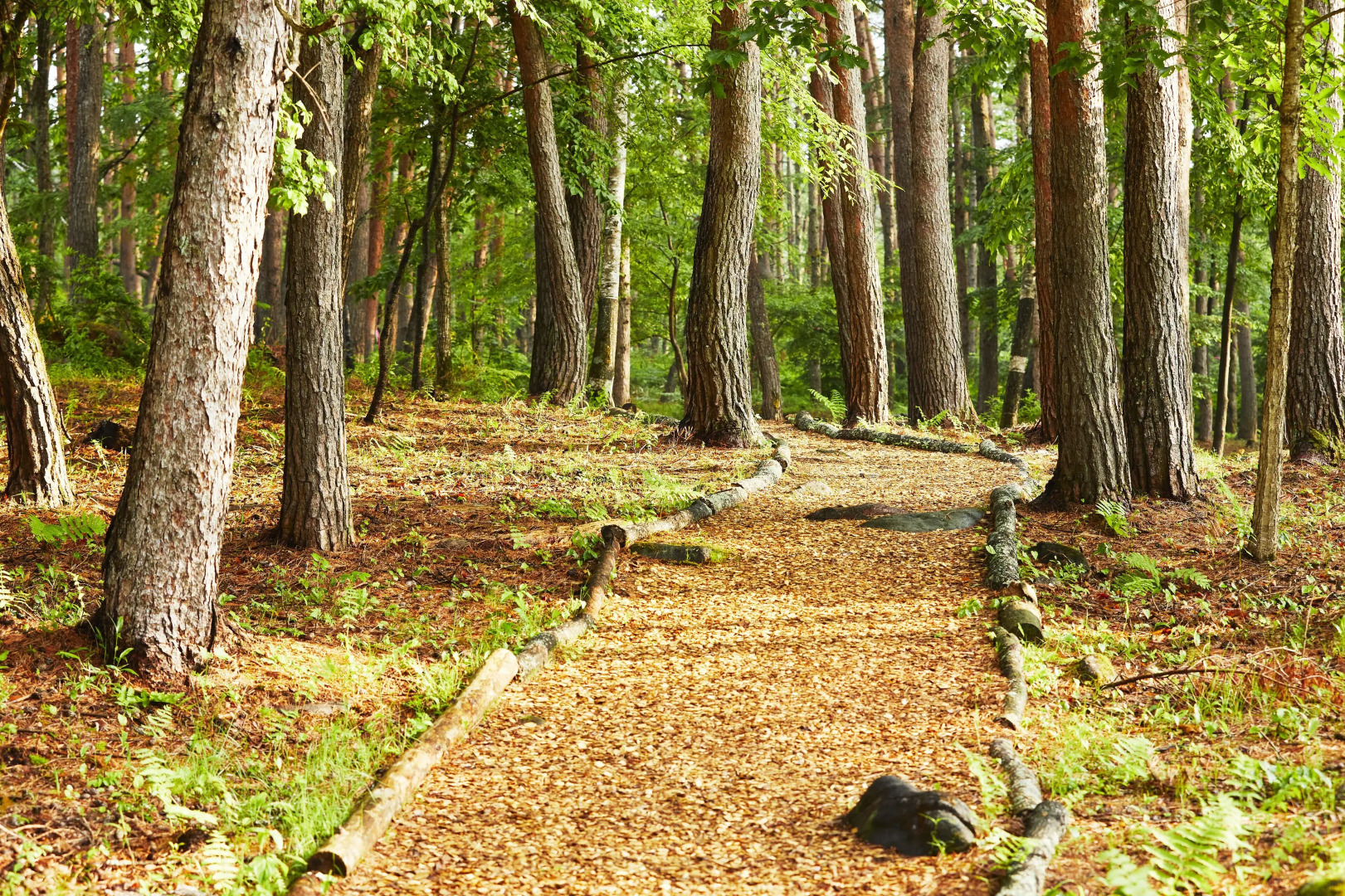 Yutorelo Tateshina Hotel with DOGS