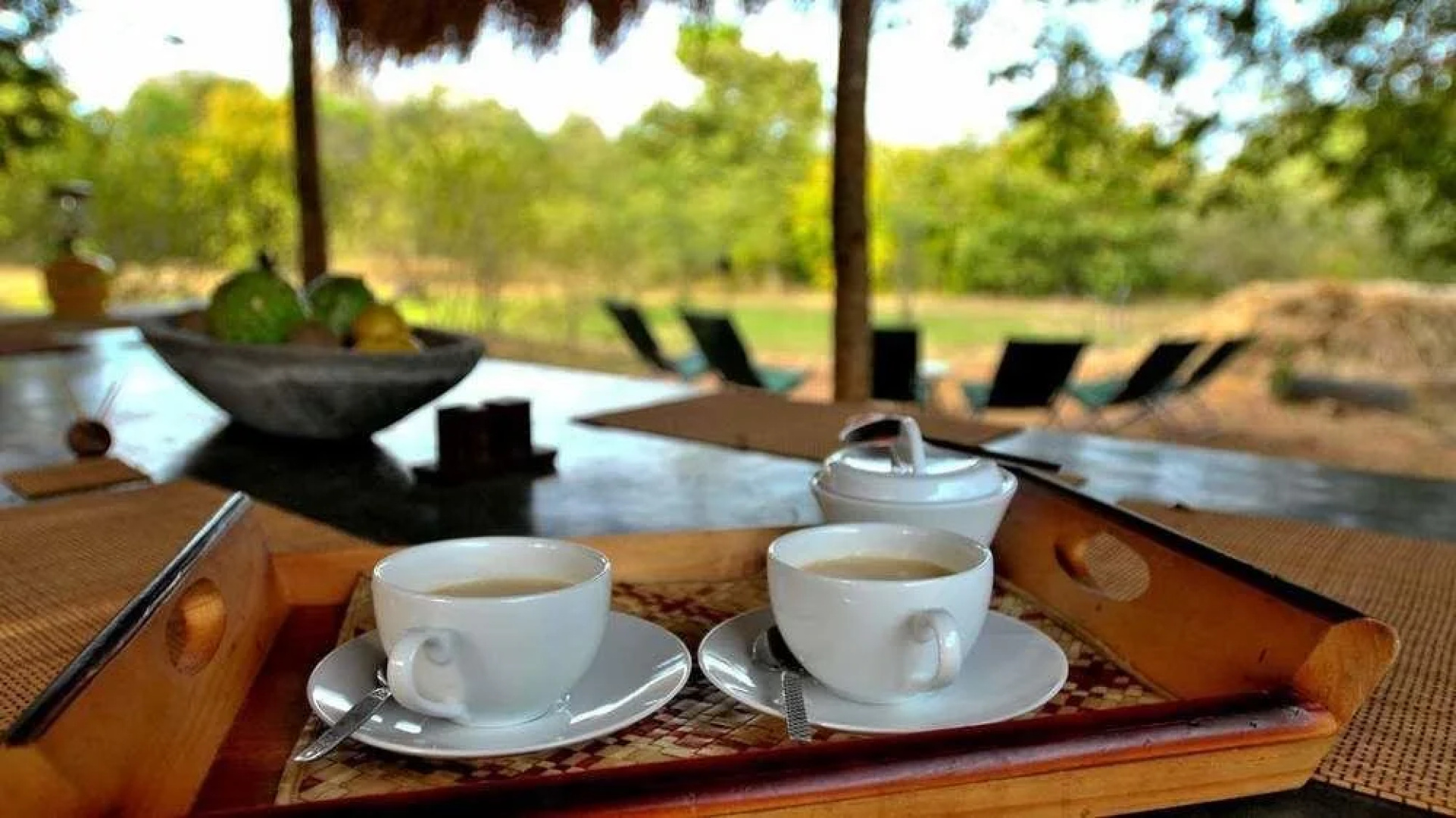 Palpatha Eco Safari Lodge