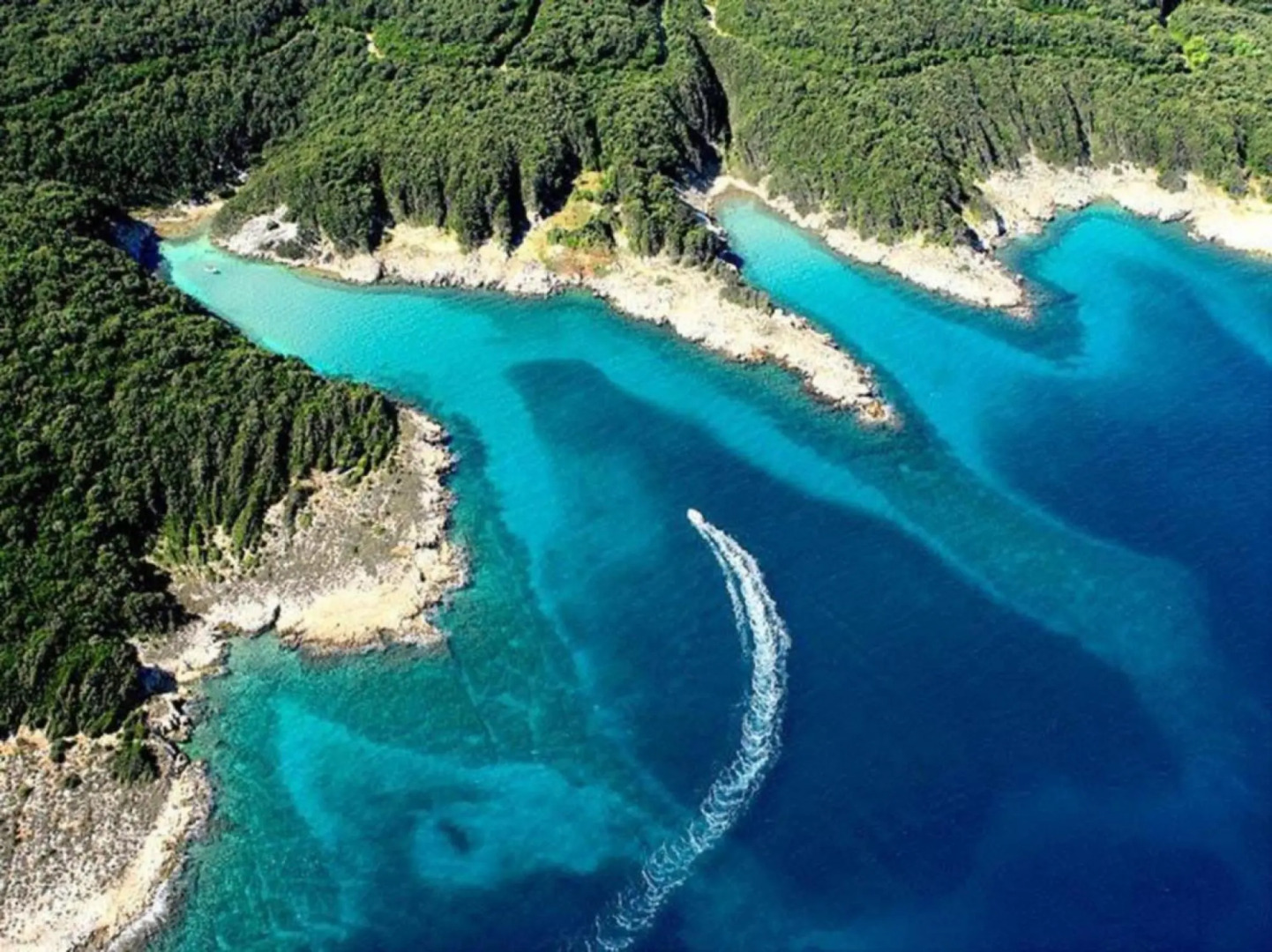 Ap Daisy1-9 Personen