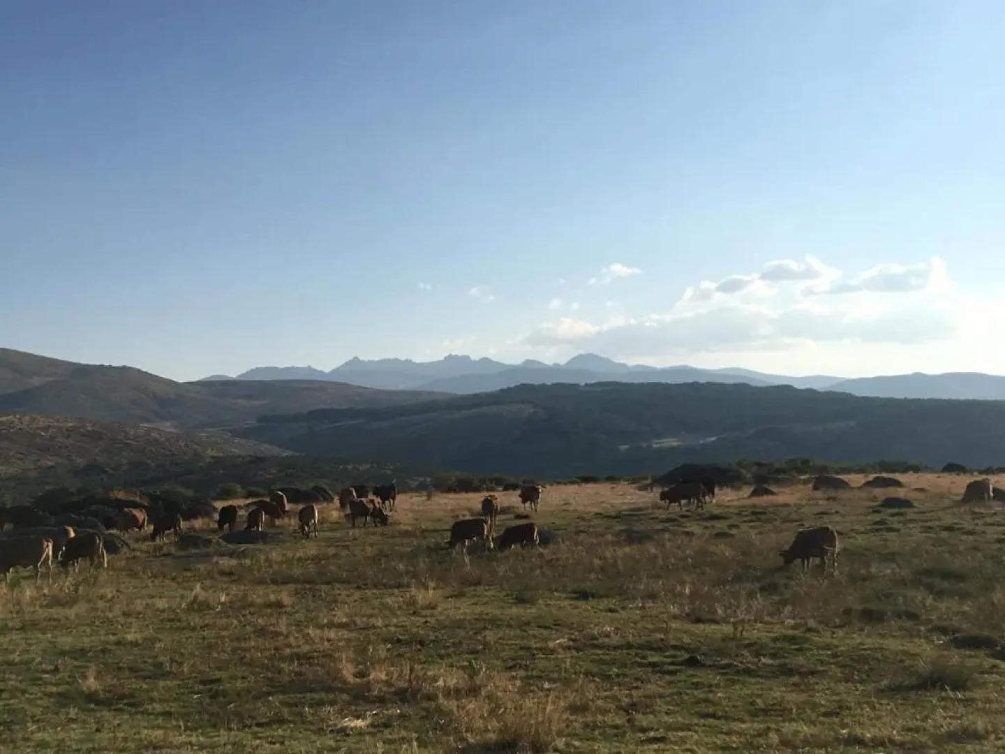 Apartamento Almanzor