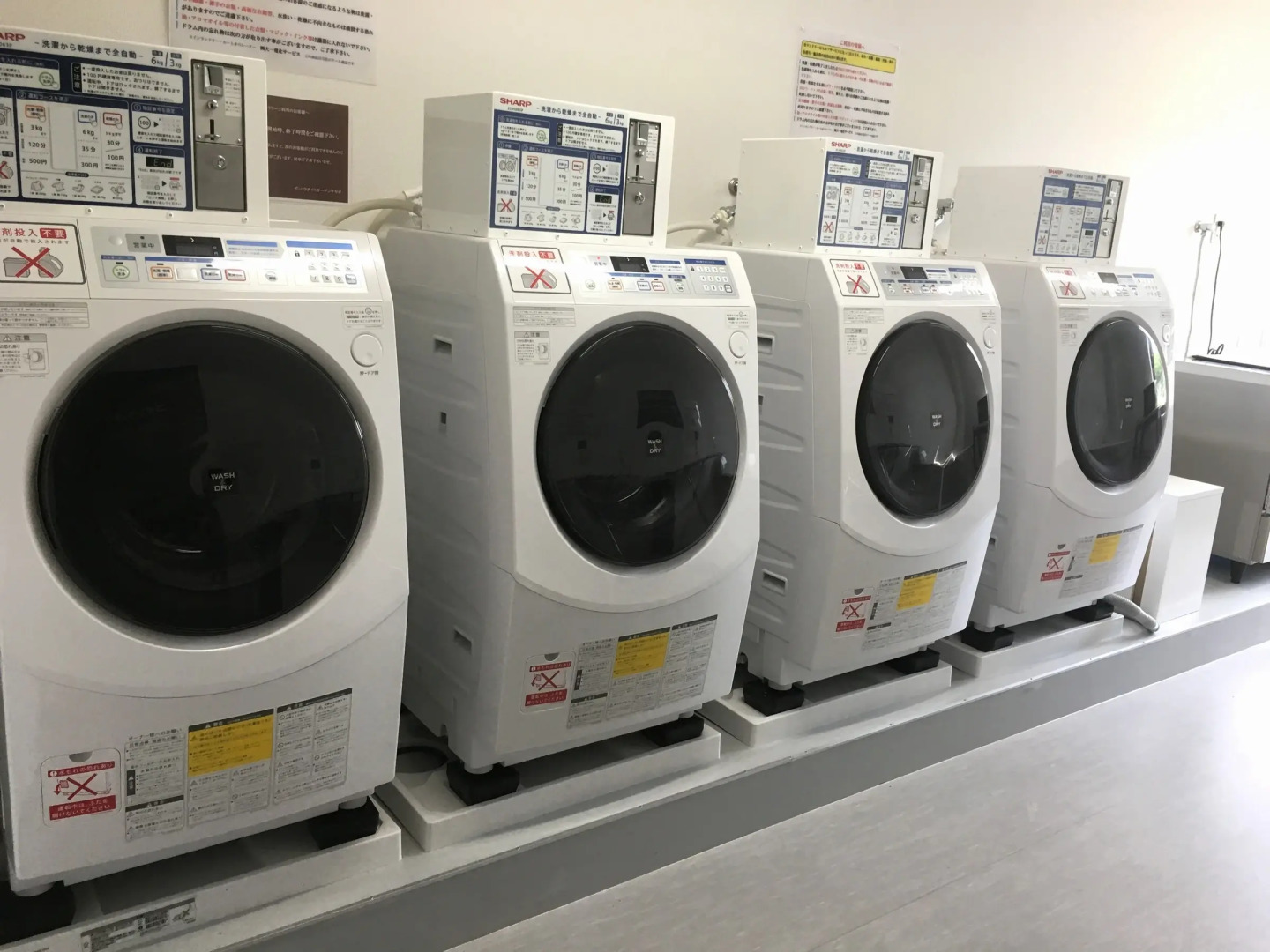 The Paradise Garden Sasebo