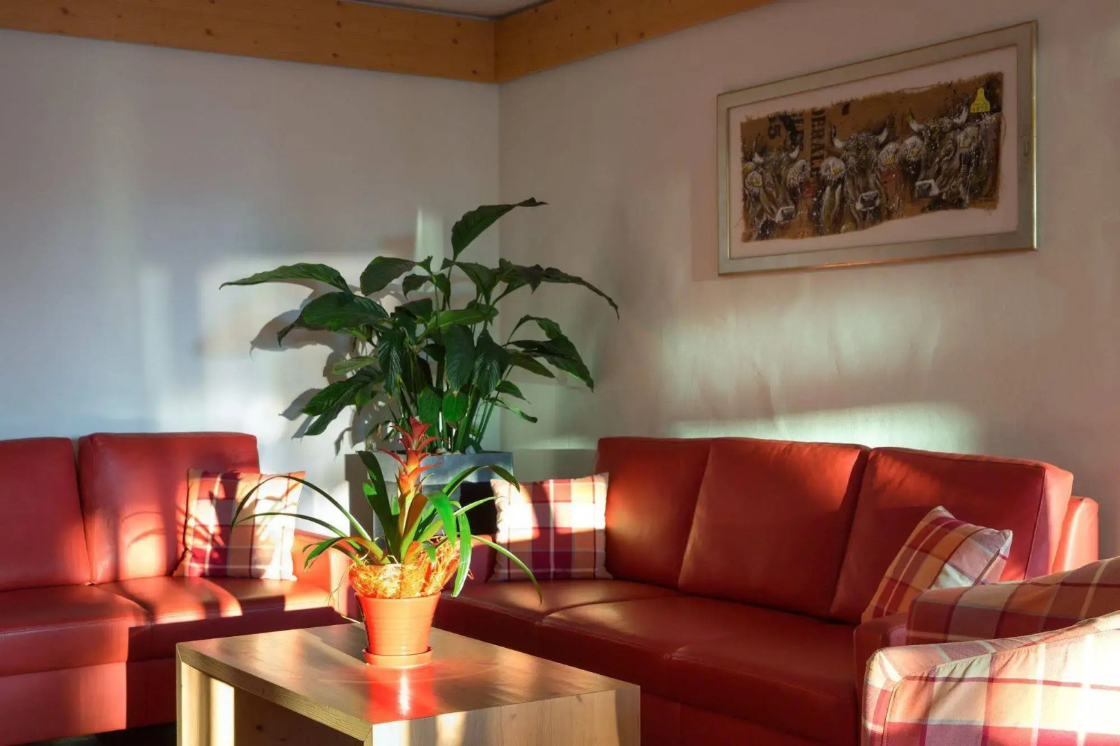 Hotel & Aparthotel Helvetia Intergolf