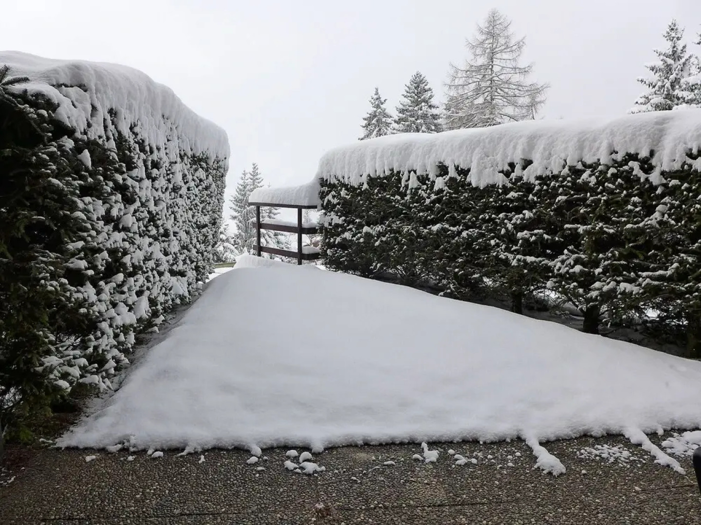 Thalia Lens in Lens With 2 Bedrooms and 3 Bathrooms