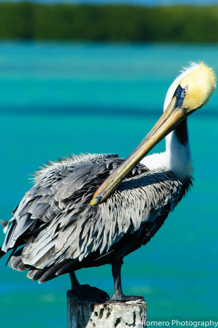 Yuum Ha Boutique Hotel