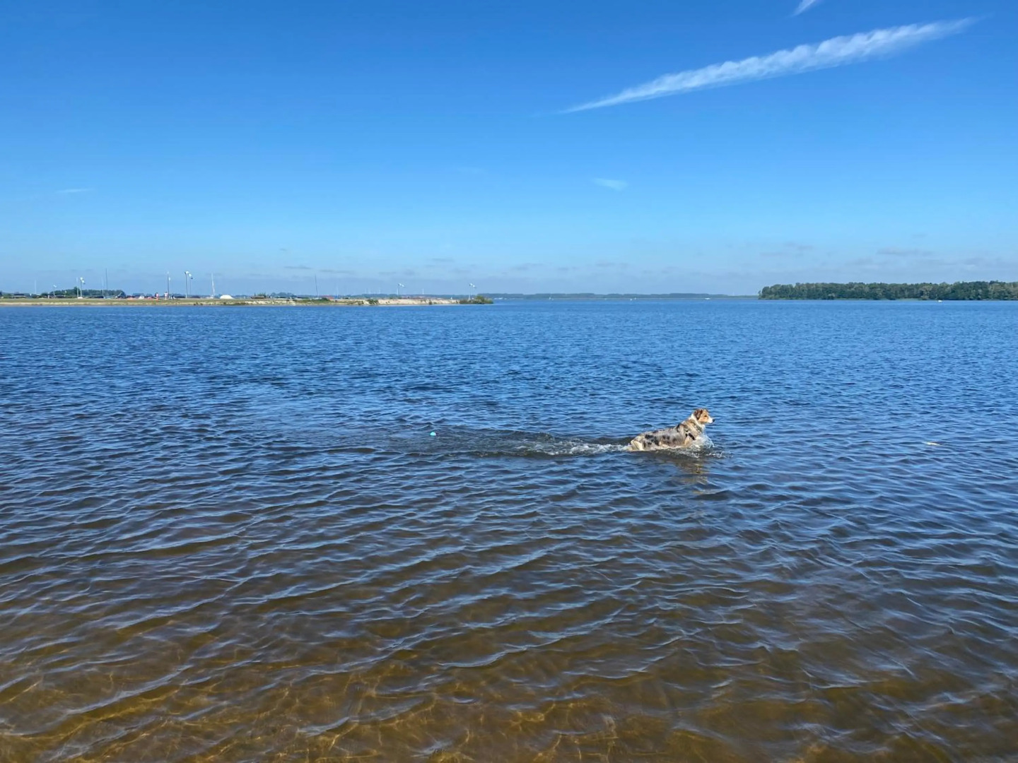 GREEN VILLA - Nachhaltiger Urlaub am Veluwemeer - großer Garten - Dachterrasse mit Meerblick - bis 2 Hunde inklusive