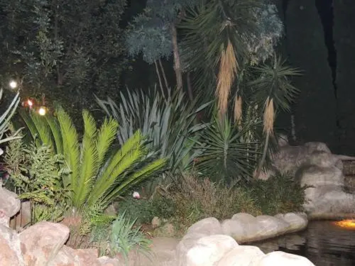 Die Houthuis Guest House