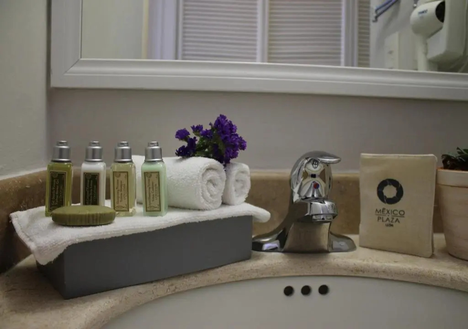 Hotel Suites Mexico Plaza Campestre