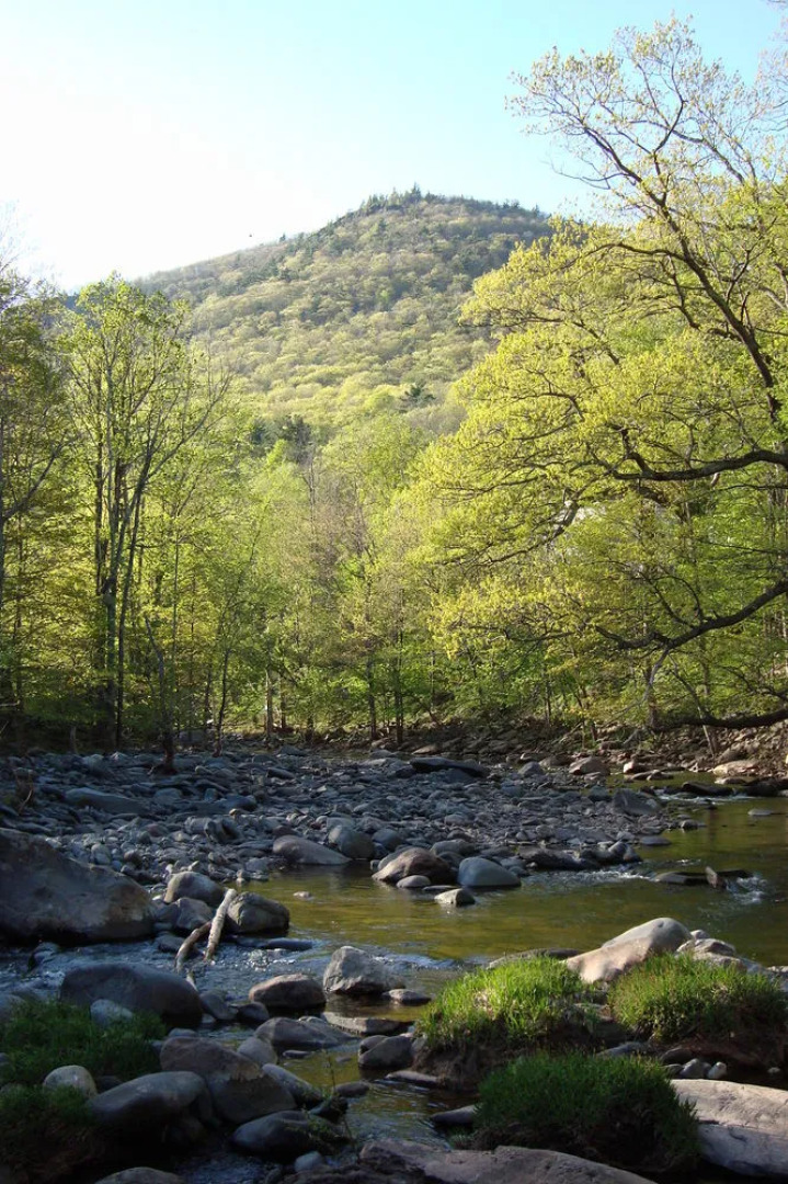 The Clark House Bed and Breakfast