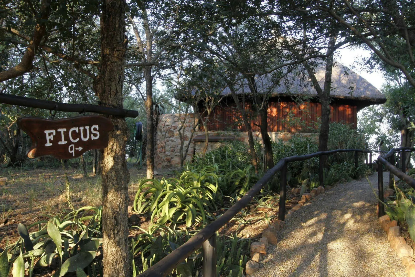 Shayamoya Tiger Fishing and Game Lodge