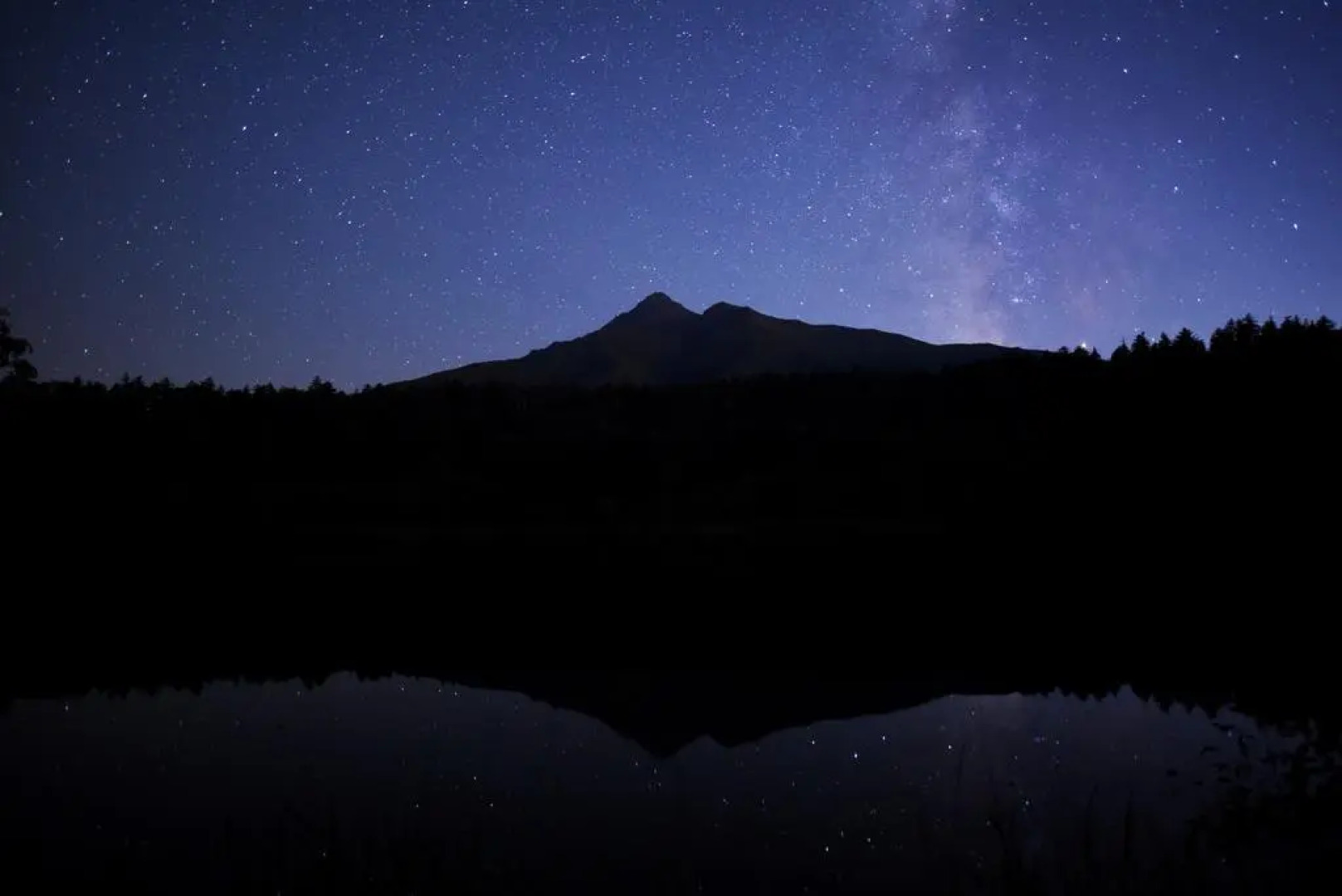 Tanakaya Hinageshikan