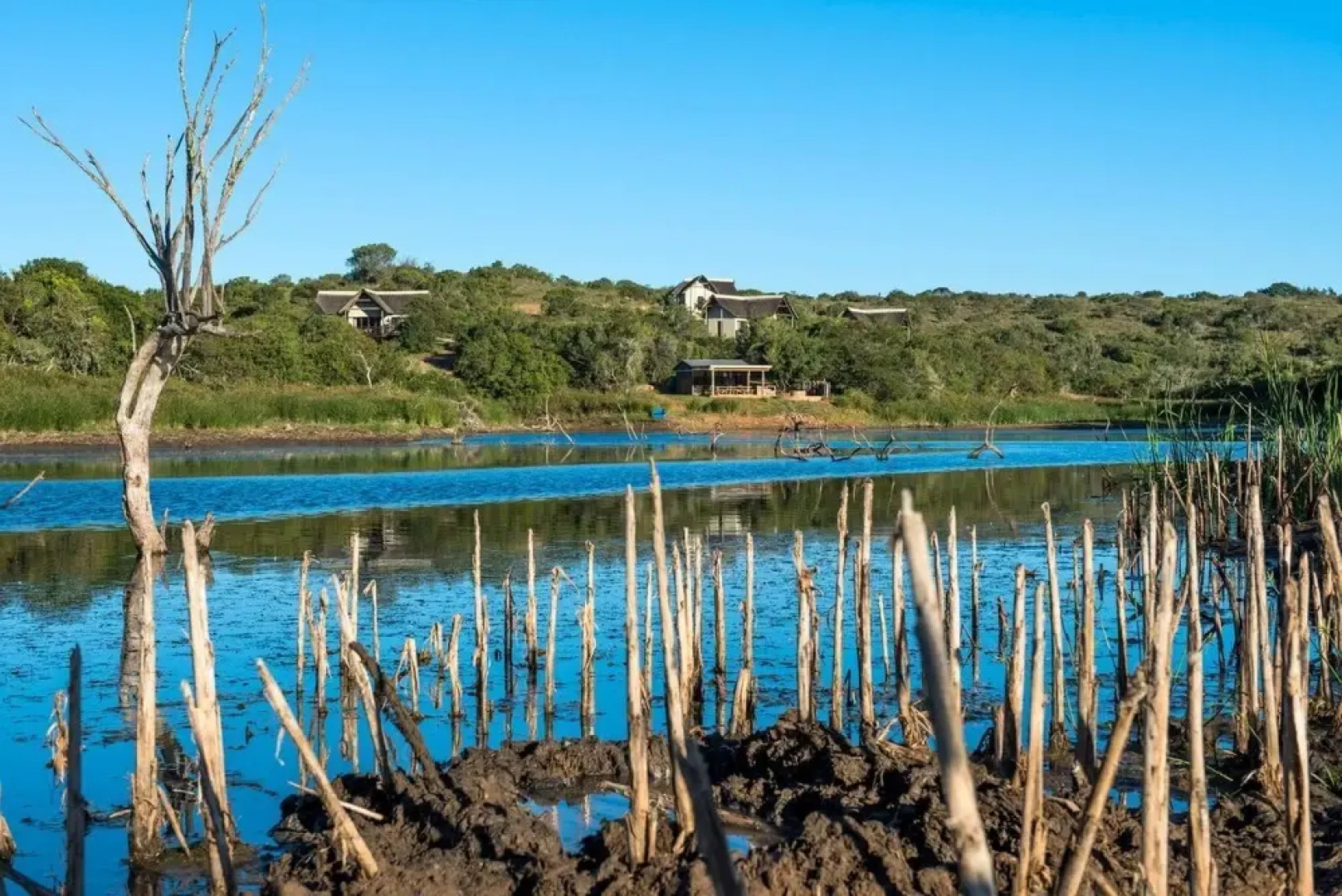 Burlington Bush Cottages