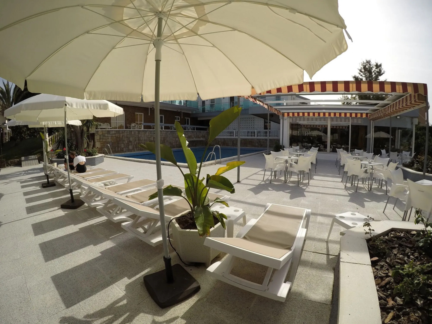 Отель Complejo Los Rosales