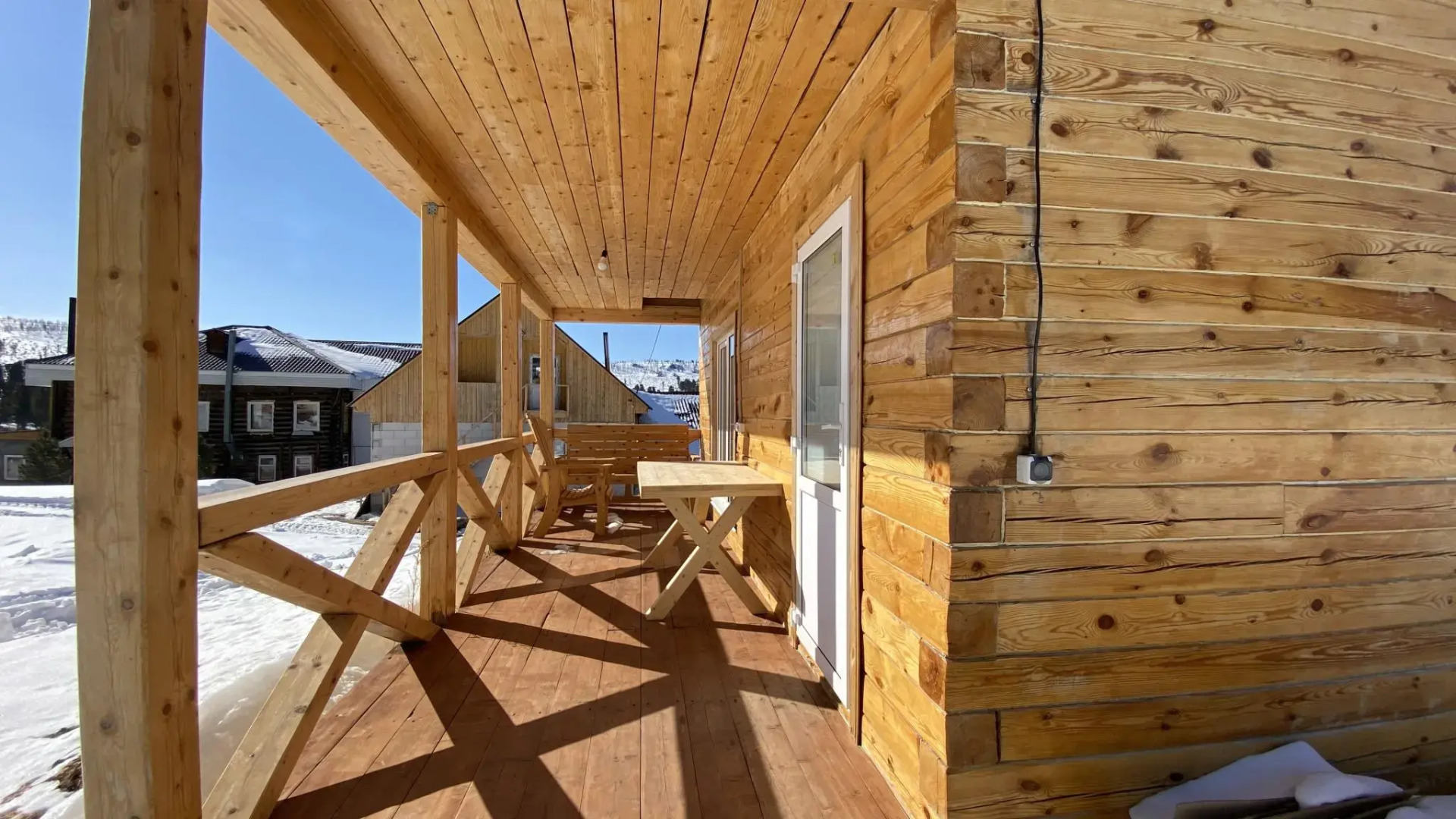 Кедр Золотой