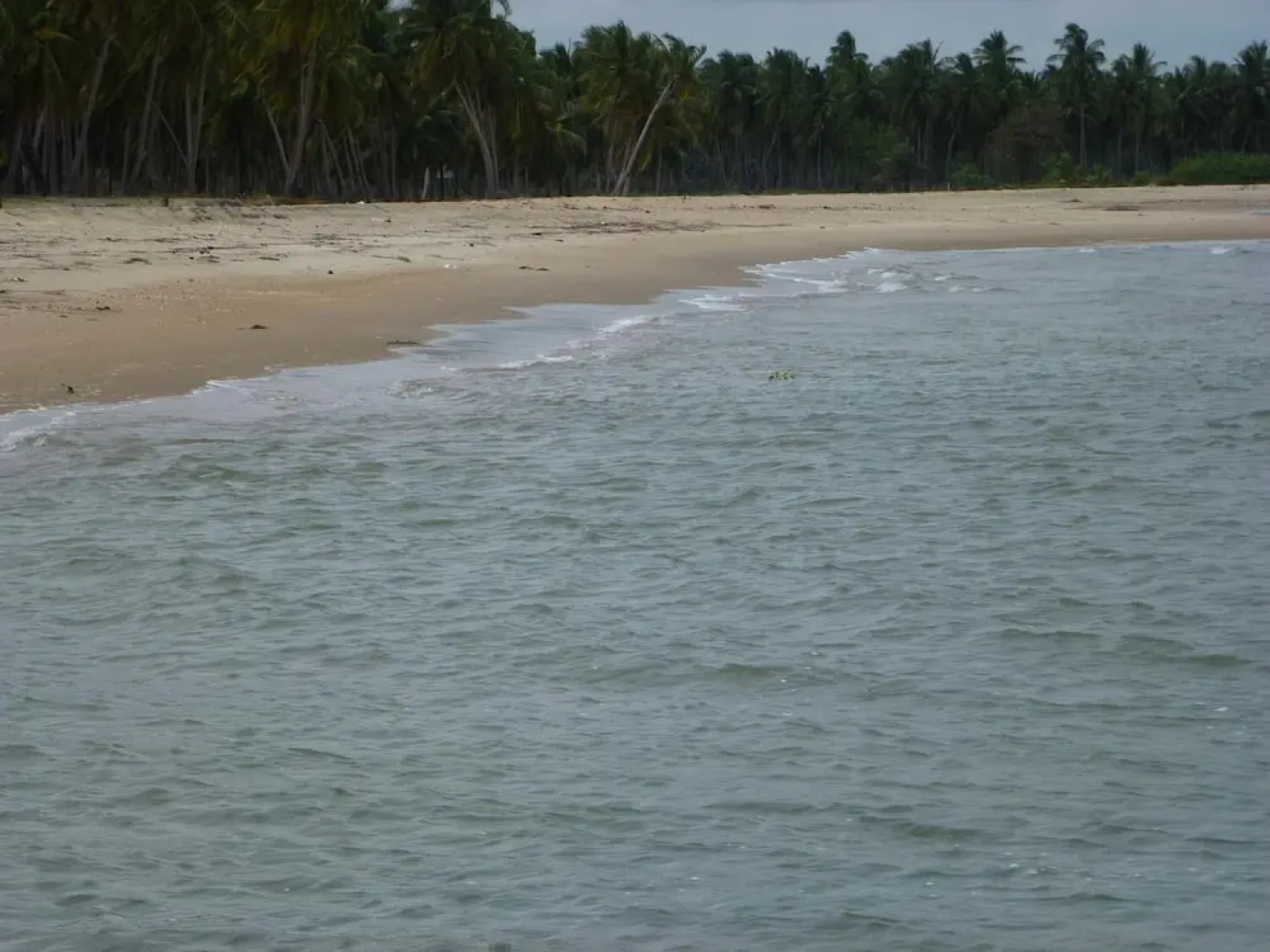 Reef Pasikudah