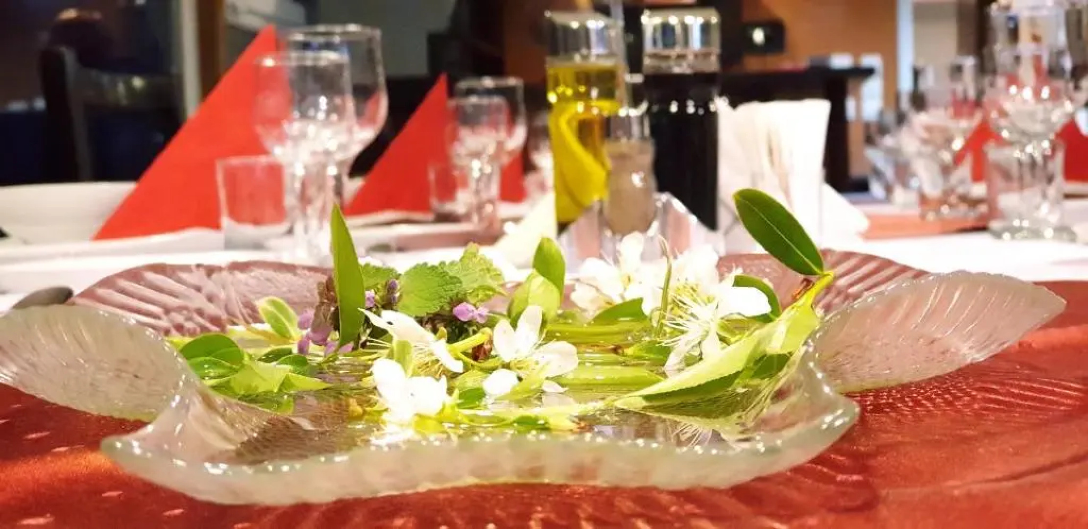 Hotel Plutitor Delta Ways